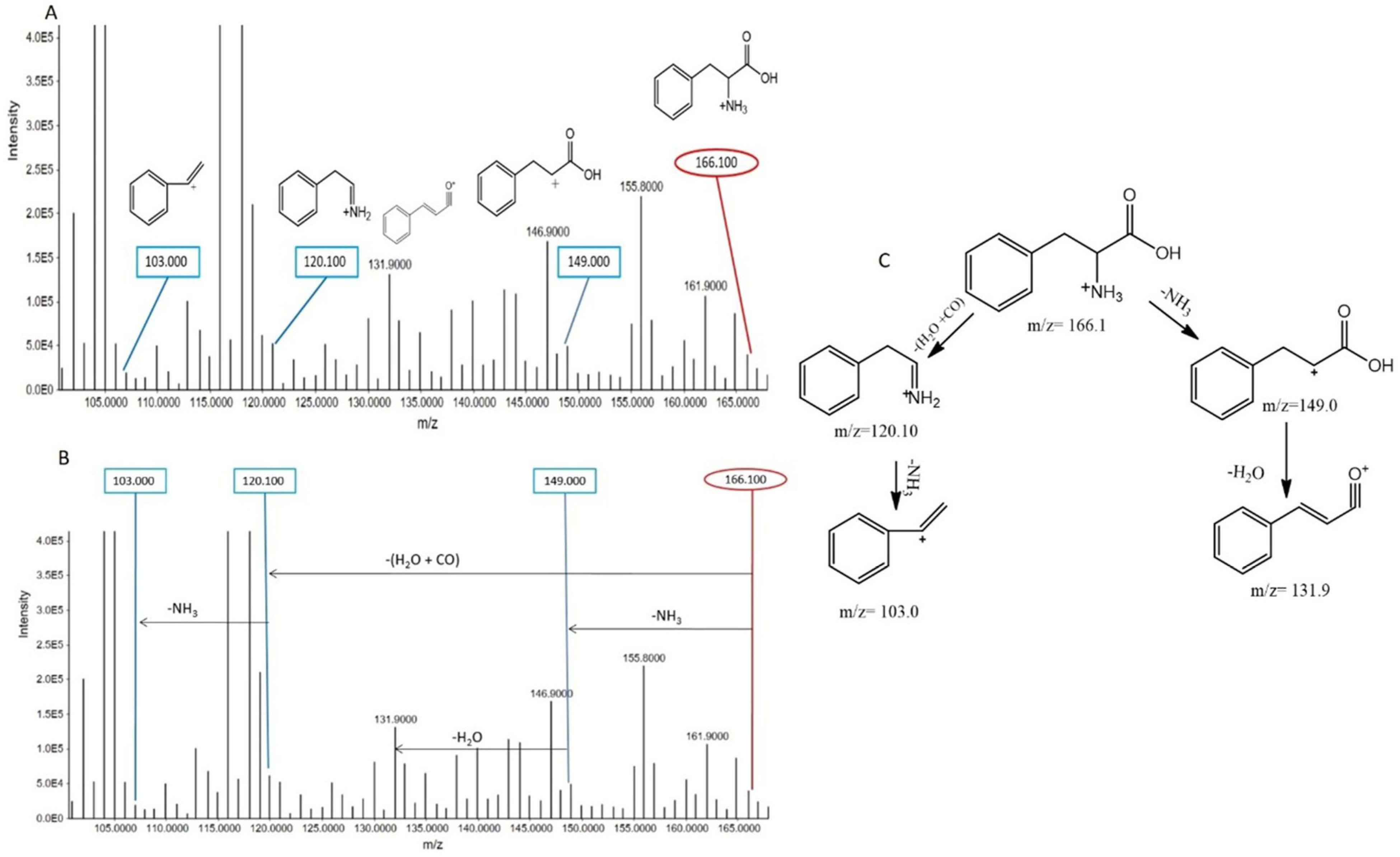 Metabolites 15 00096 g005