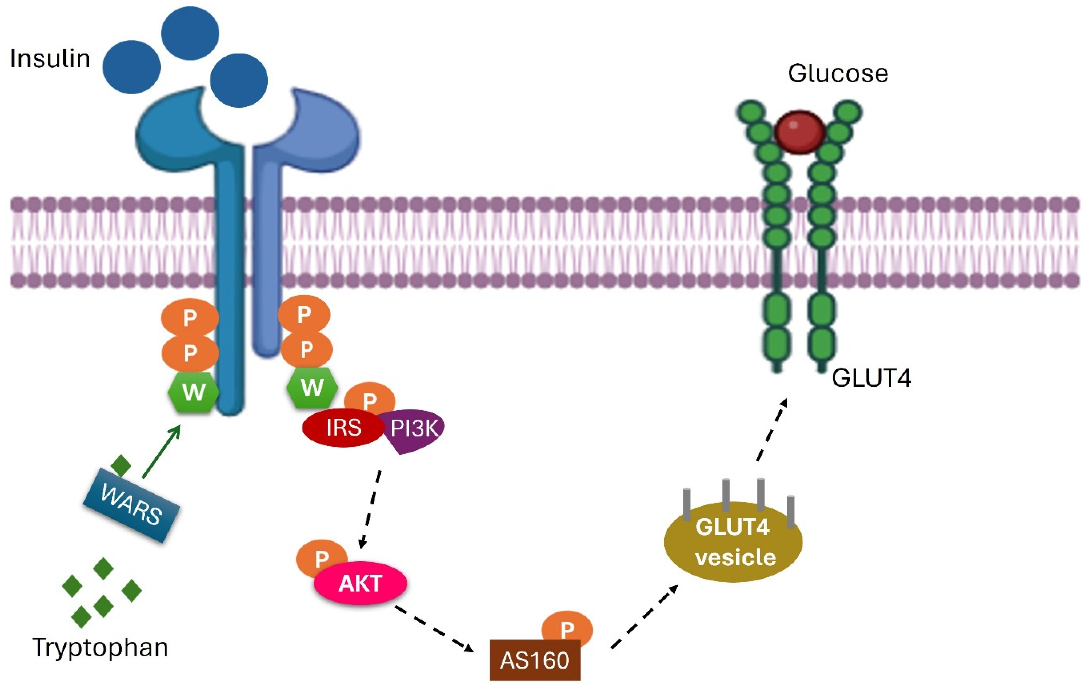 Metabolites 15 00096 g015