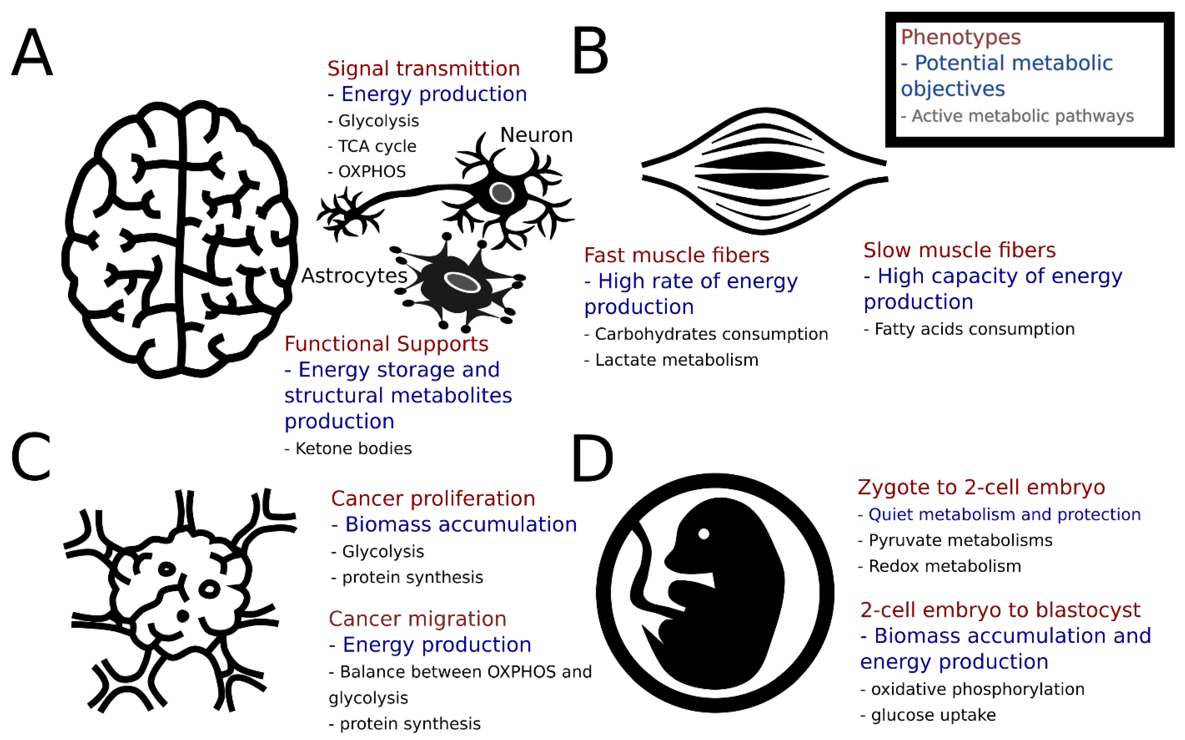 Metabolites 15 00101 g001