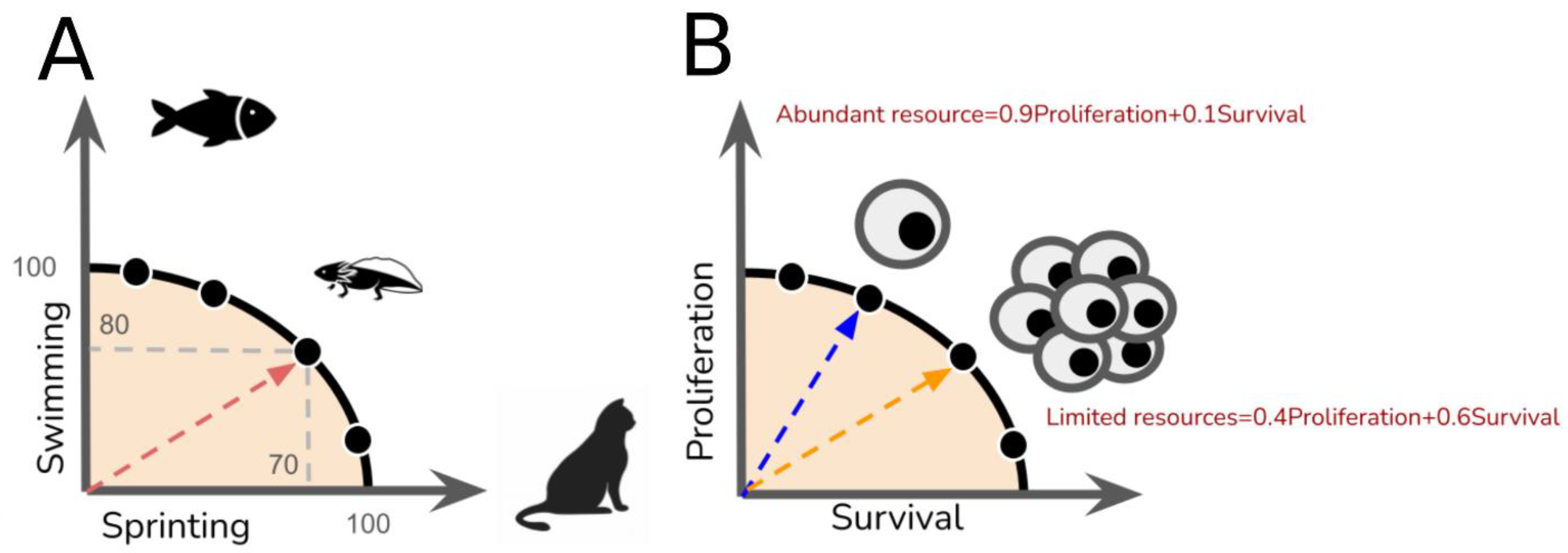 Metabolites 15 00101 g002