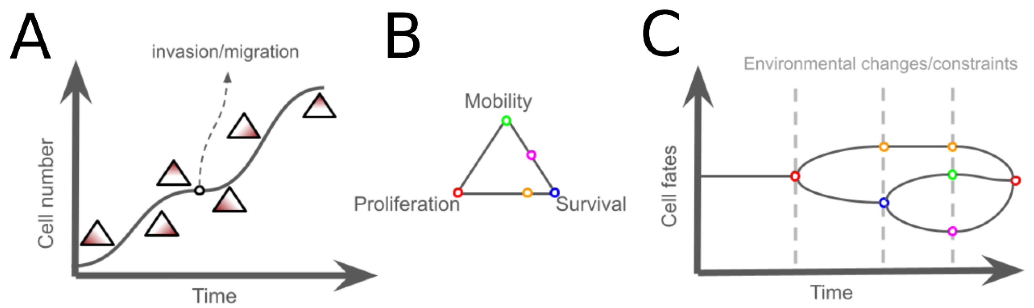 Metabolites 15 00101 g003