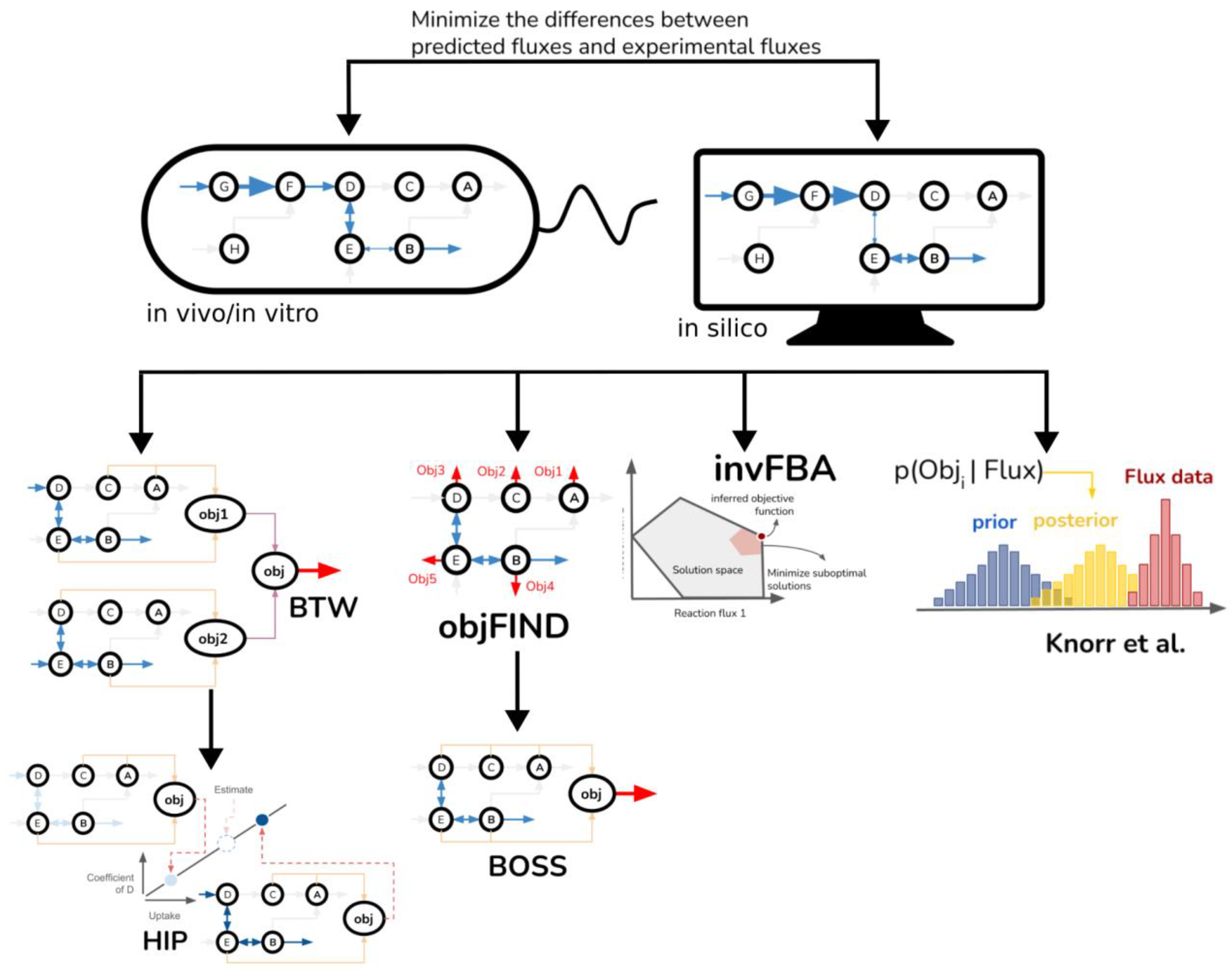 Metabolites 15 00101 g004
