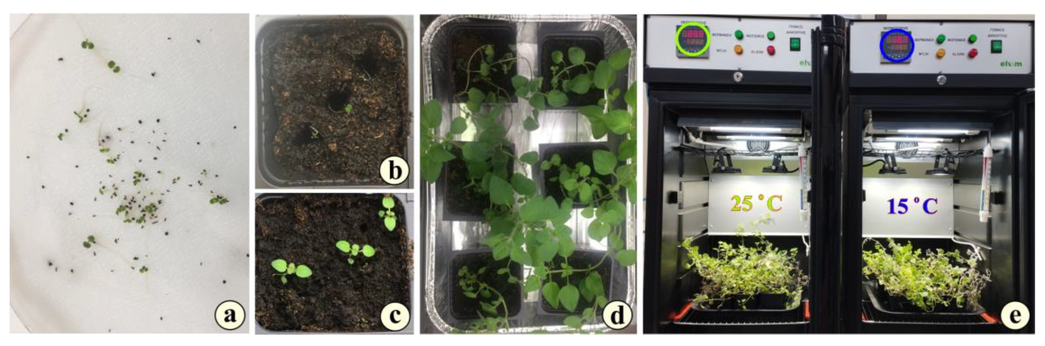 Metabolites 15 00103 g002 Metabolites 15 00103 g002