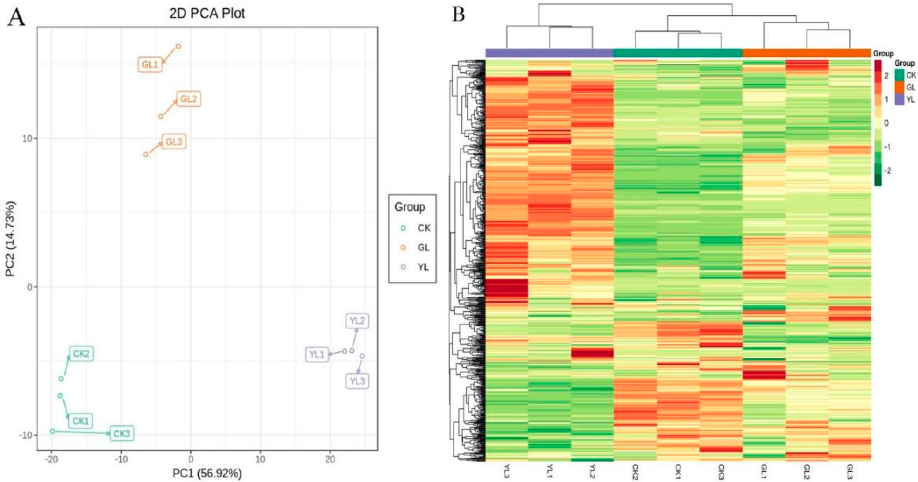 Metabolites 15 00107 g001