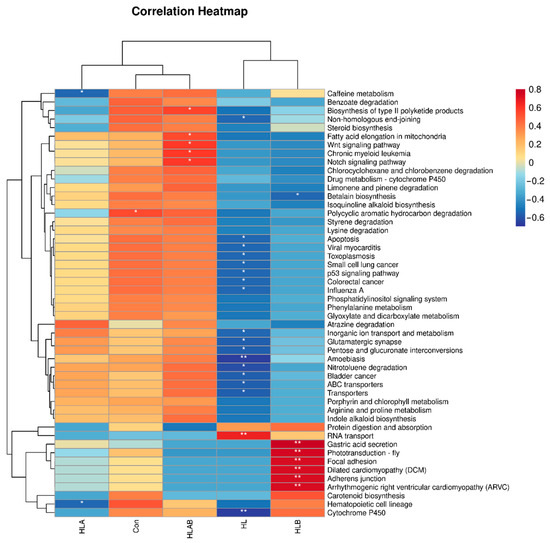The Potential Role of Intestinal Microbiota on the Intestine
