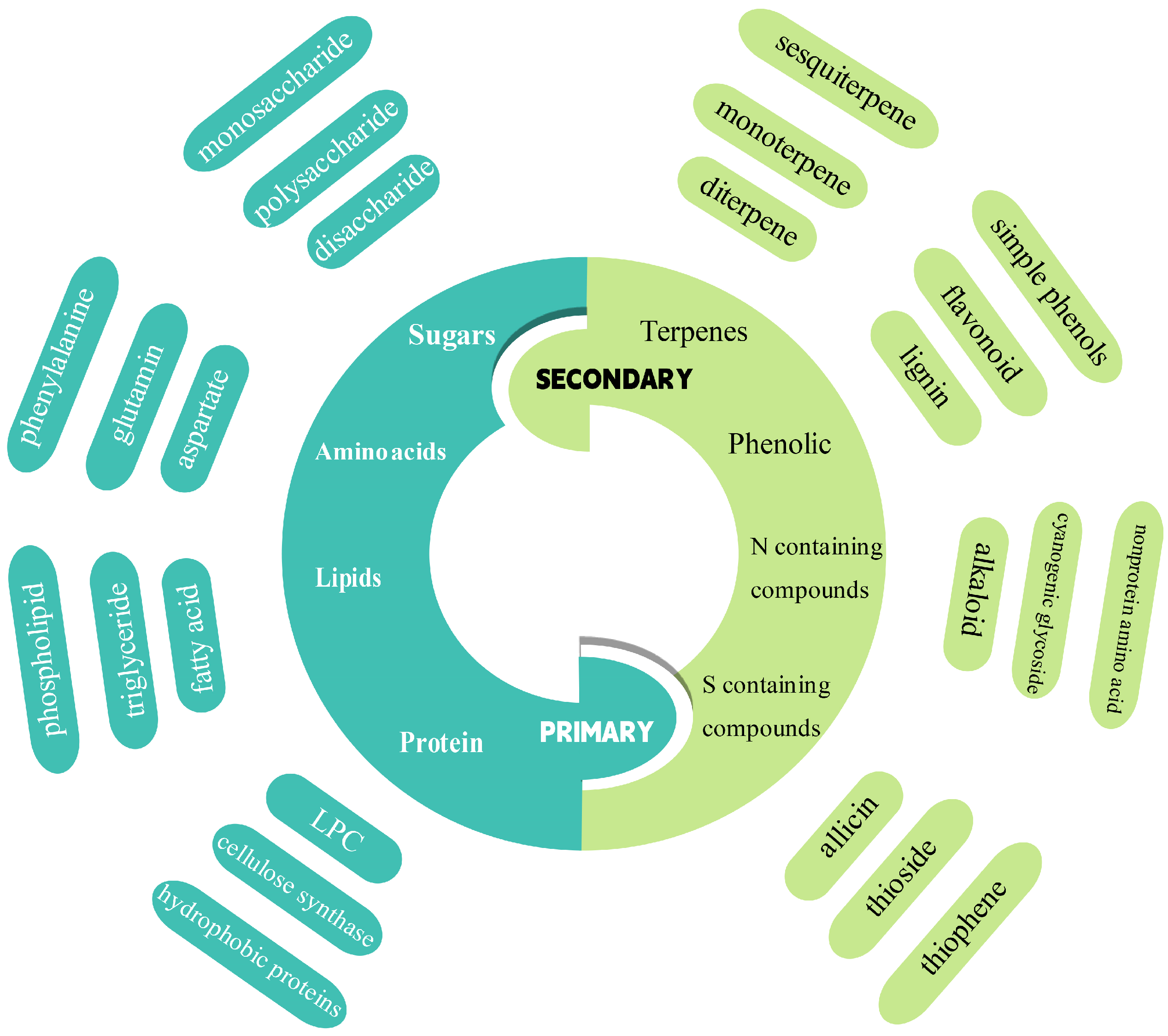 Metabolites 15 00123 g001