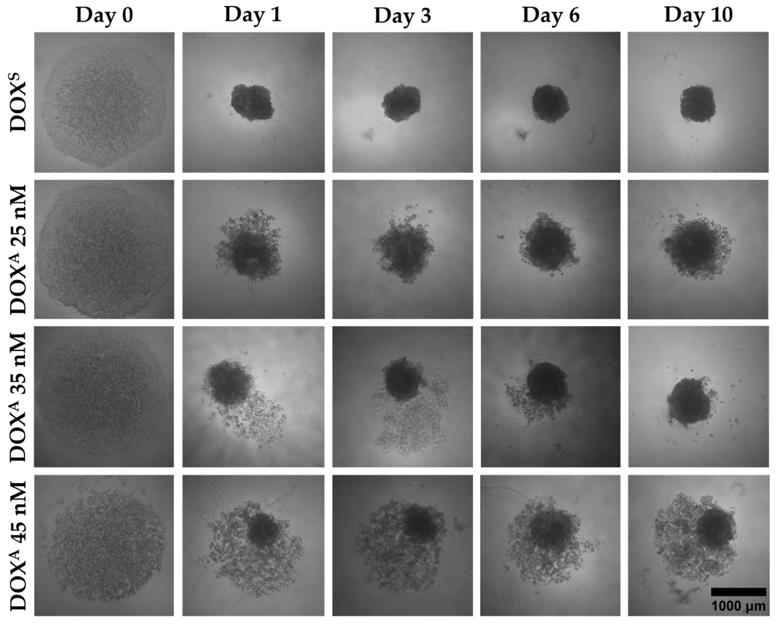 Metabolites 15 00136 g002