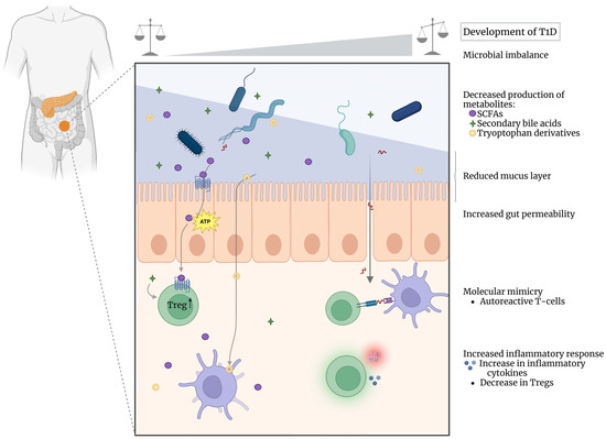 From Microbes to Metabolites: Advances in Gut Microbiome