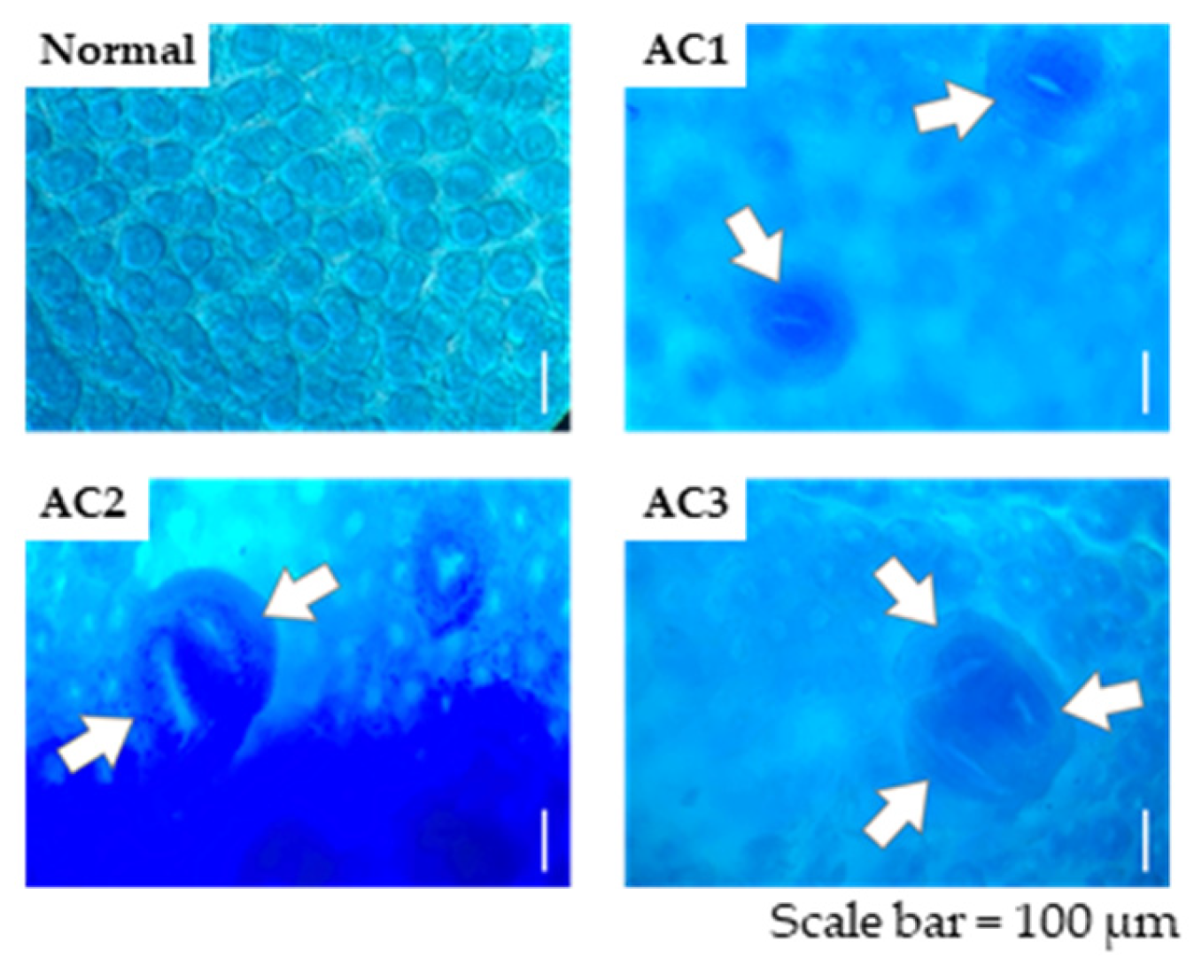 Metabolites 15 00147 g001 Metabolites 15 00147 g001