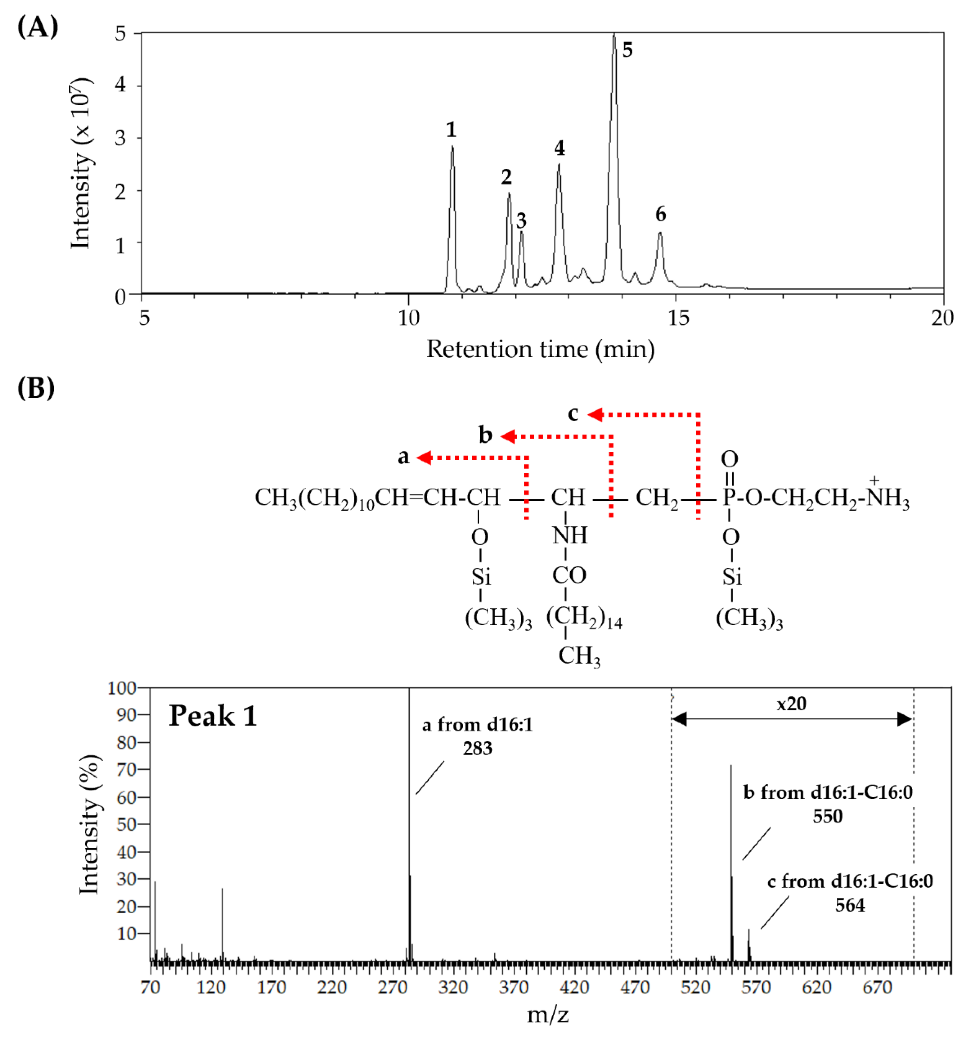 Metabolites 15 00147 g002 Metabolites 15 00147 g002