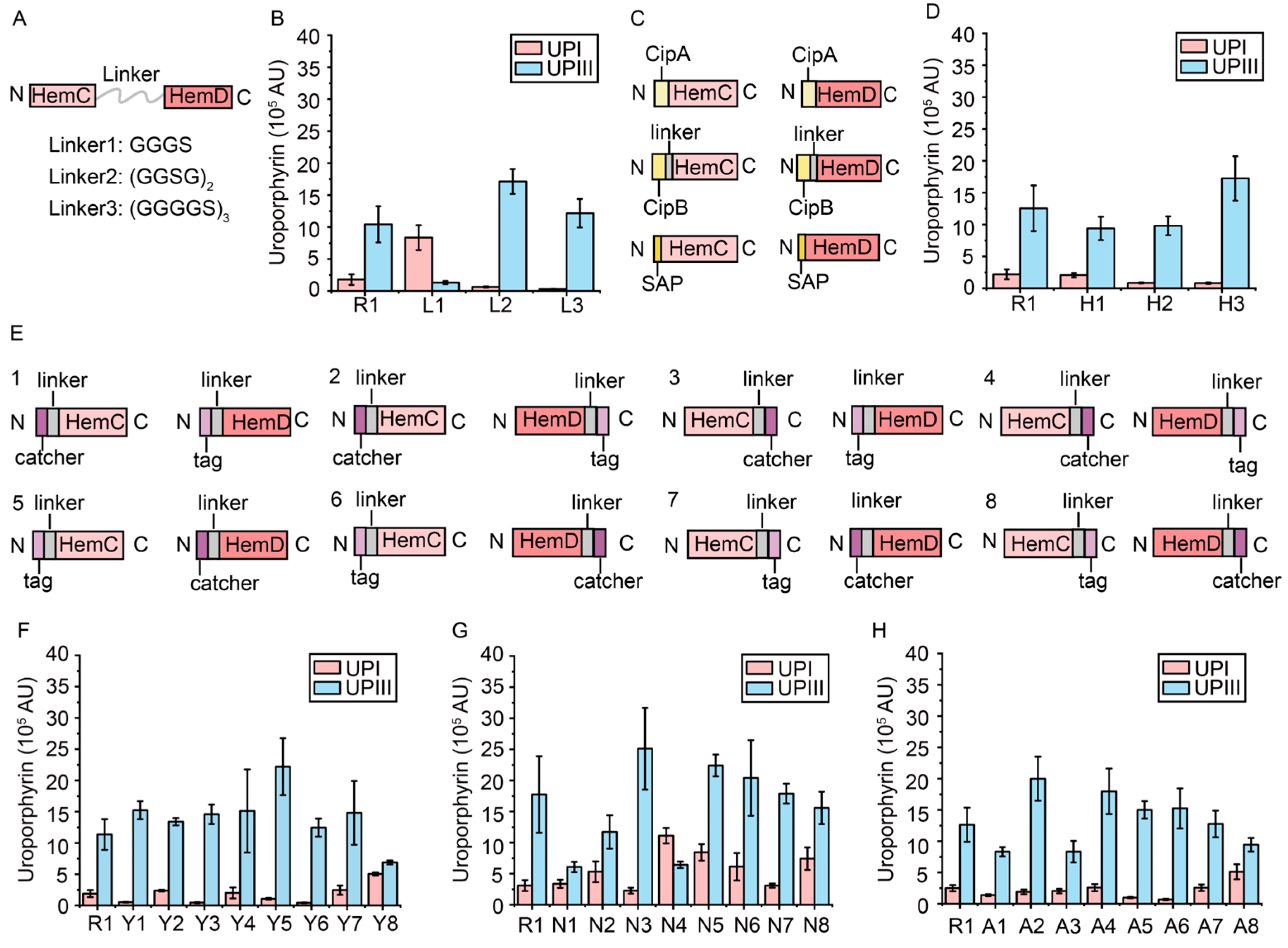 Metabolites 15 00151 g003