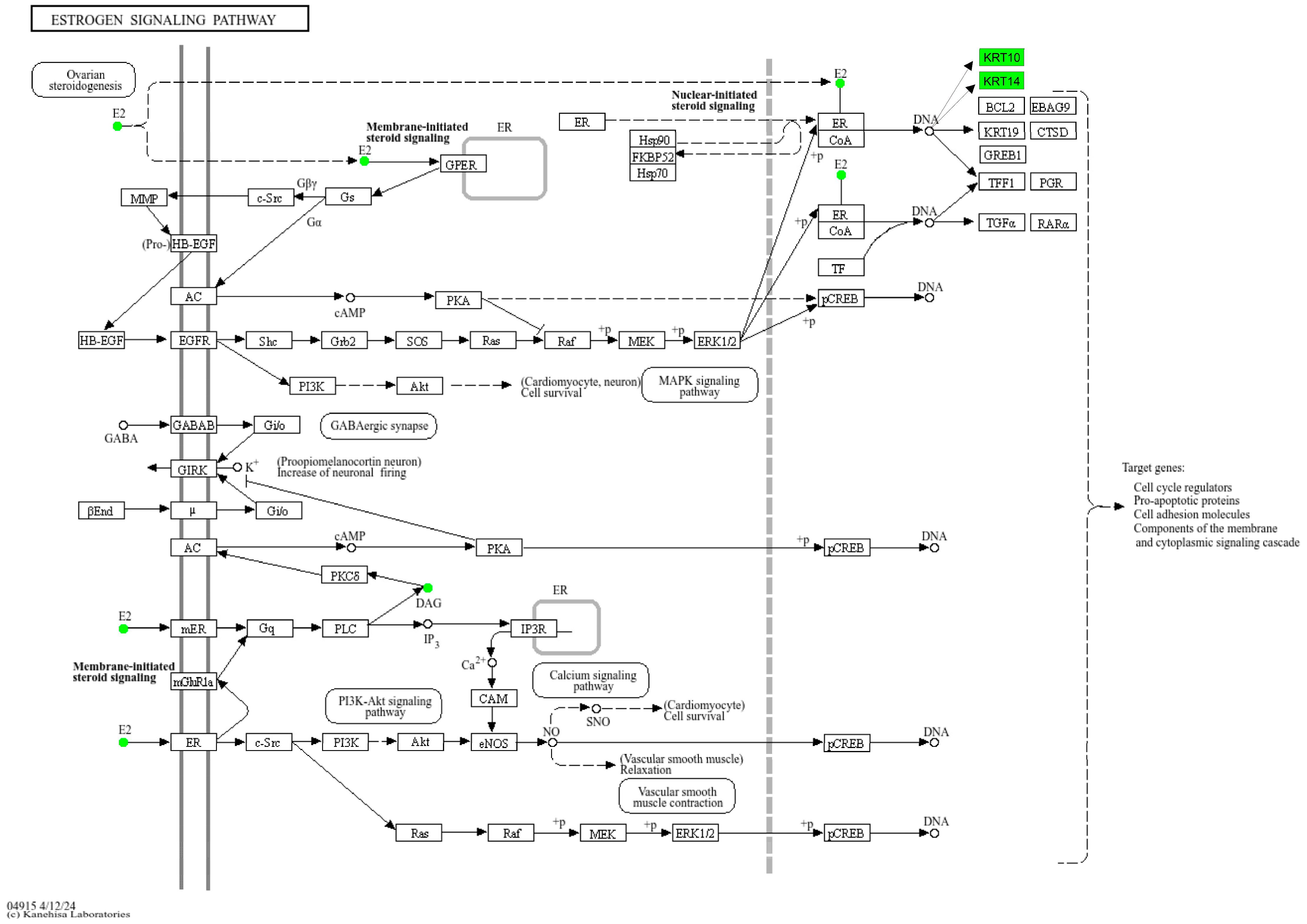 Metabolites 15 00153 g005