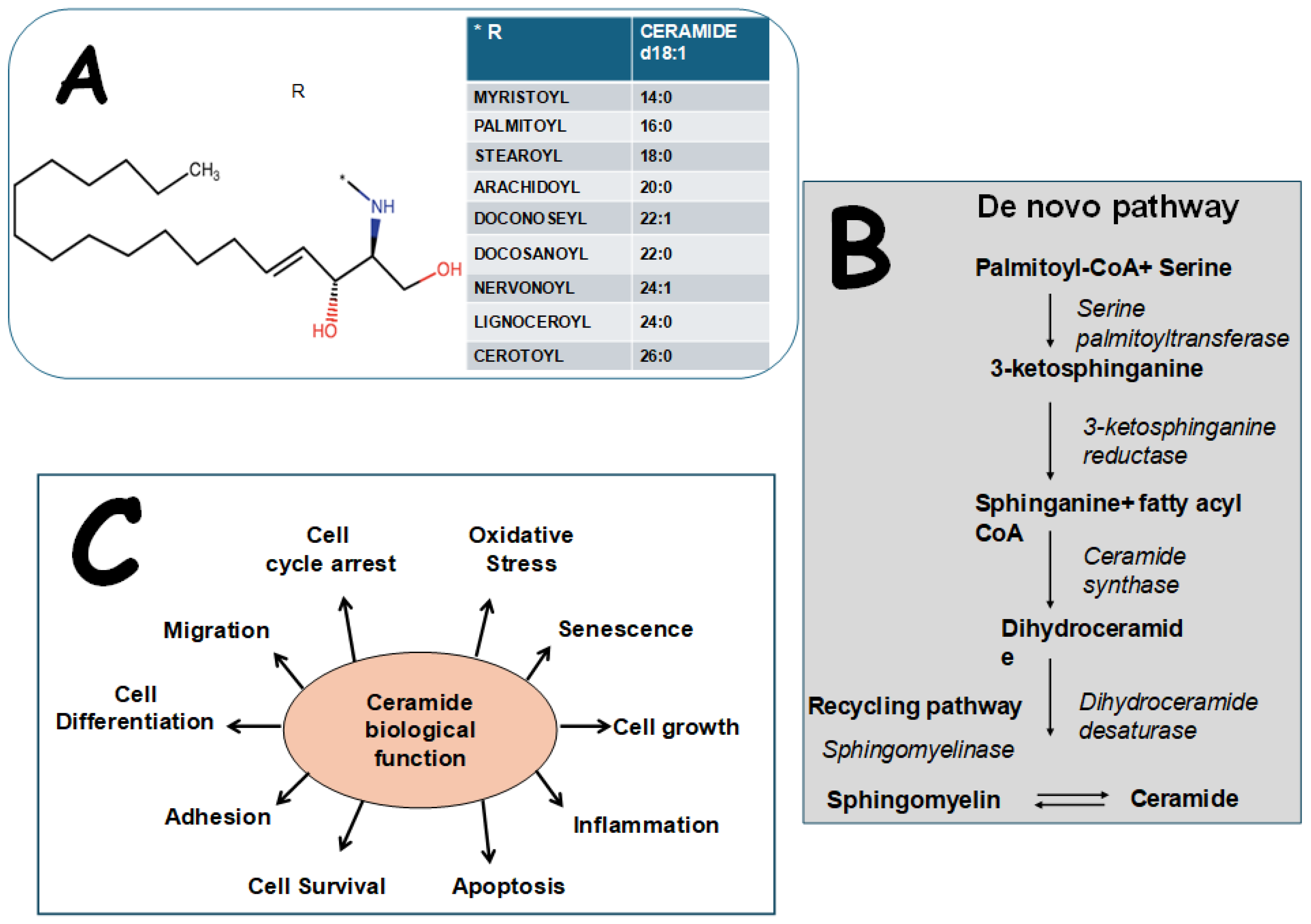 Metabolites 15 00168 g001