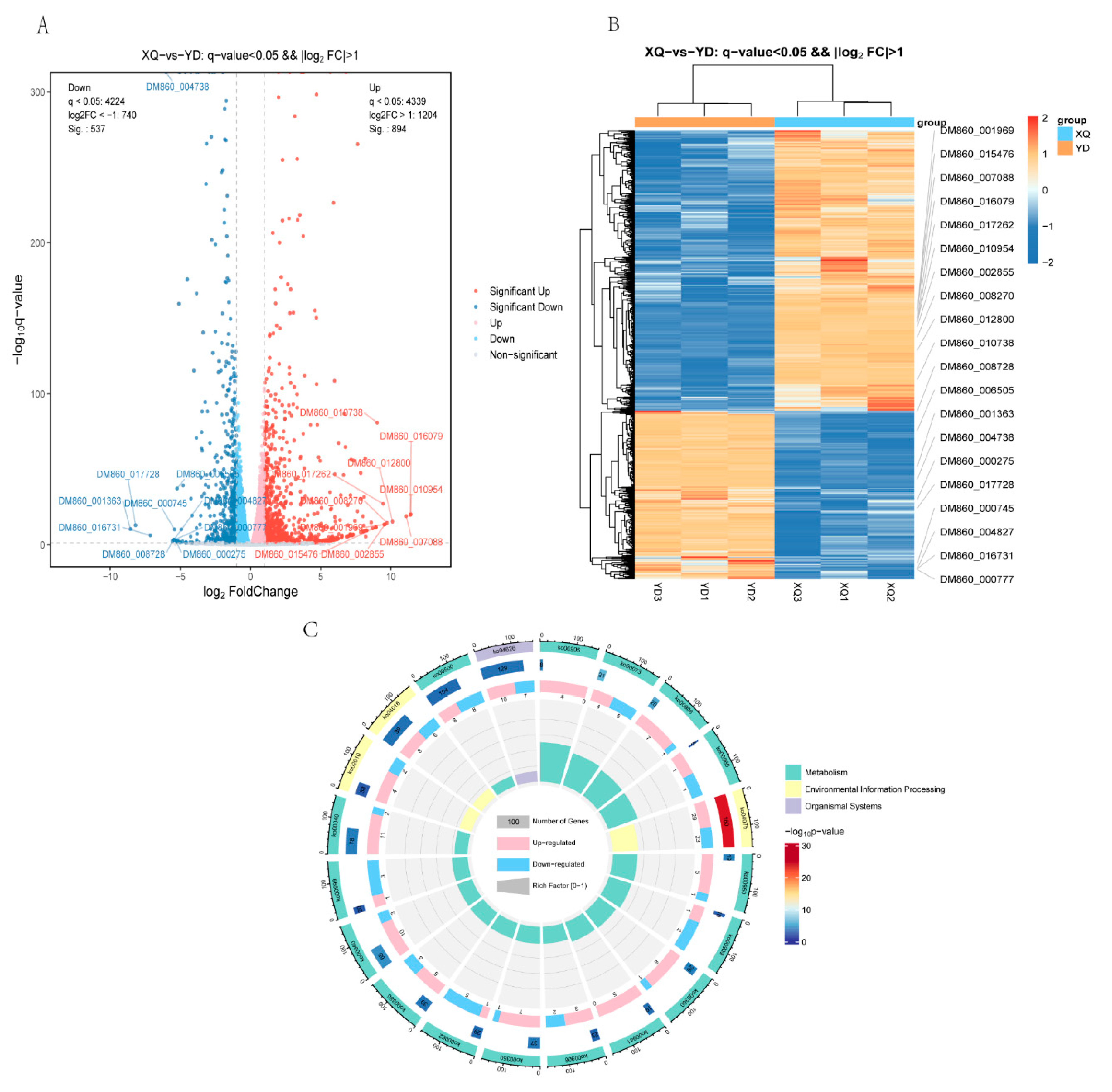 Metabolites 15 00172 g003