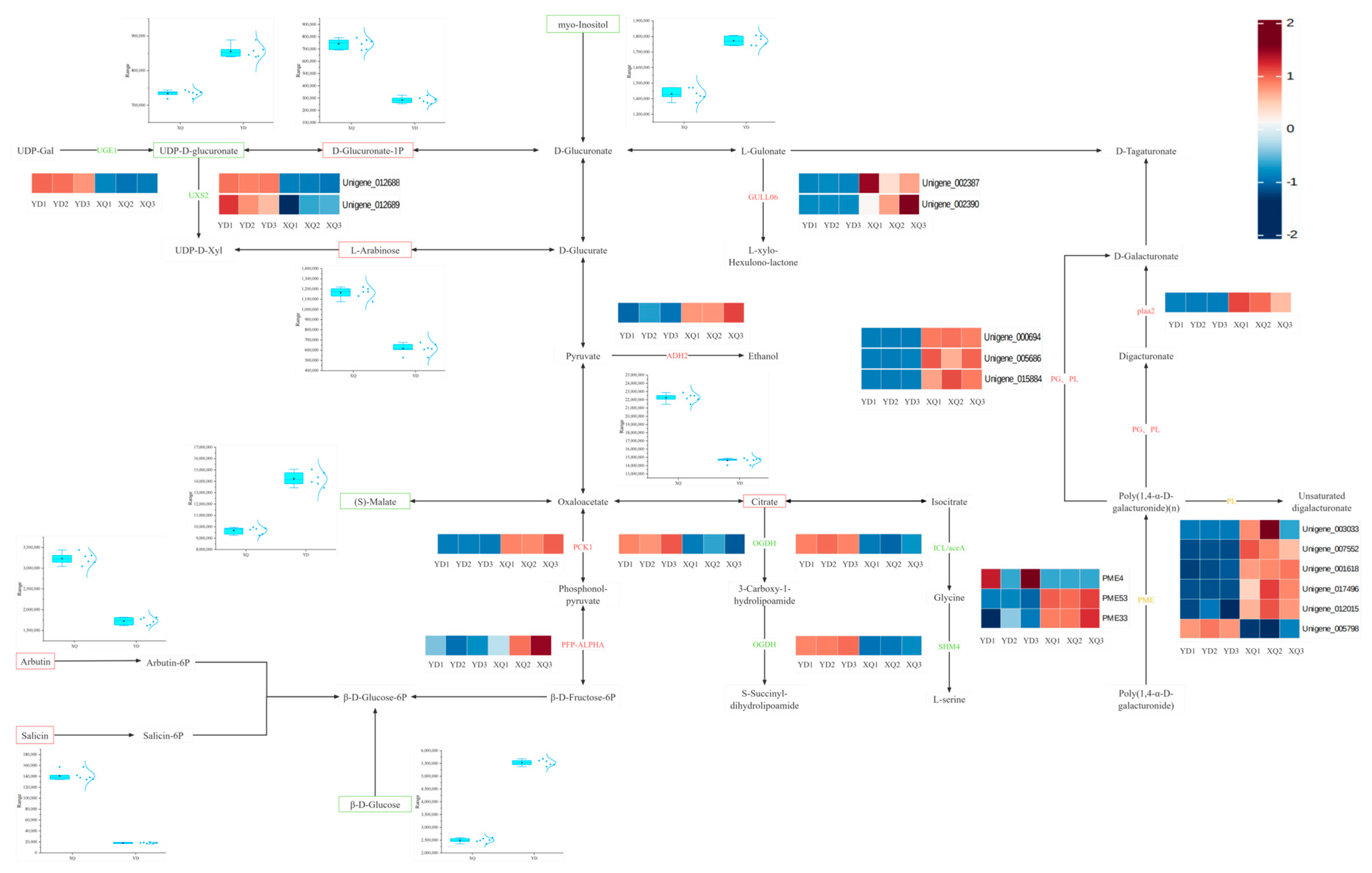 Metabolites 15 00172 g005