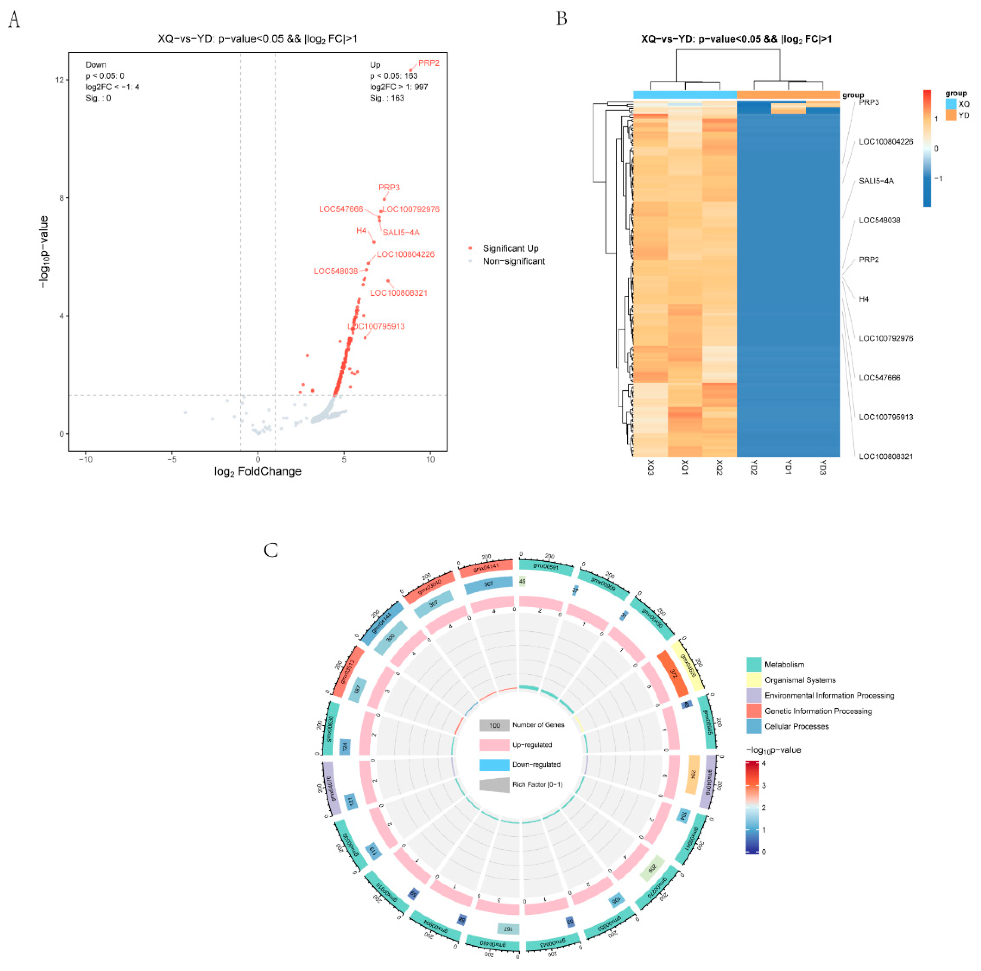 Metabolites 15 00172 g006