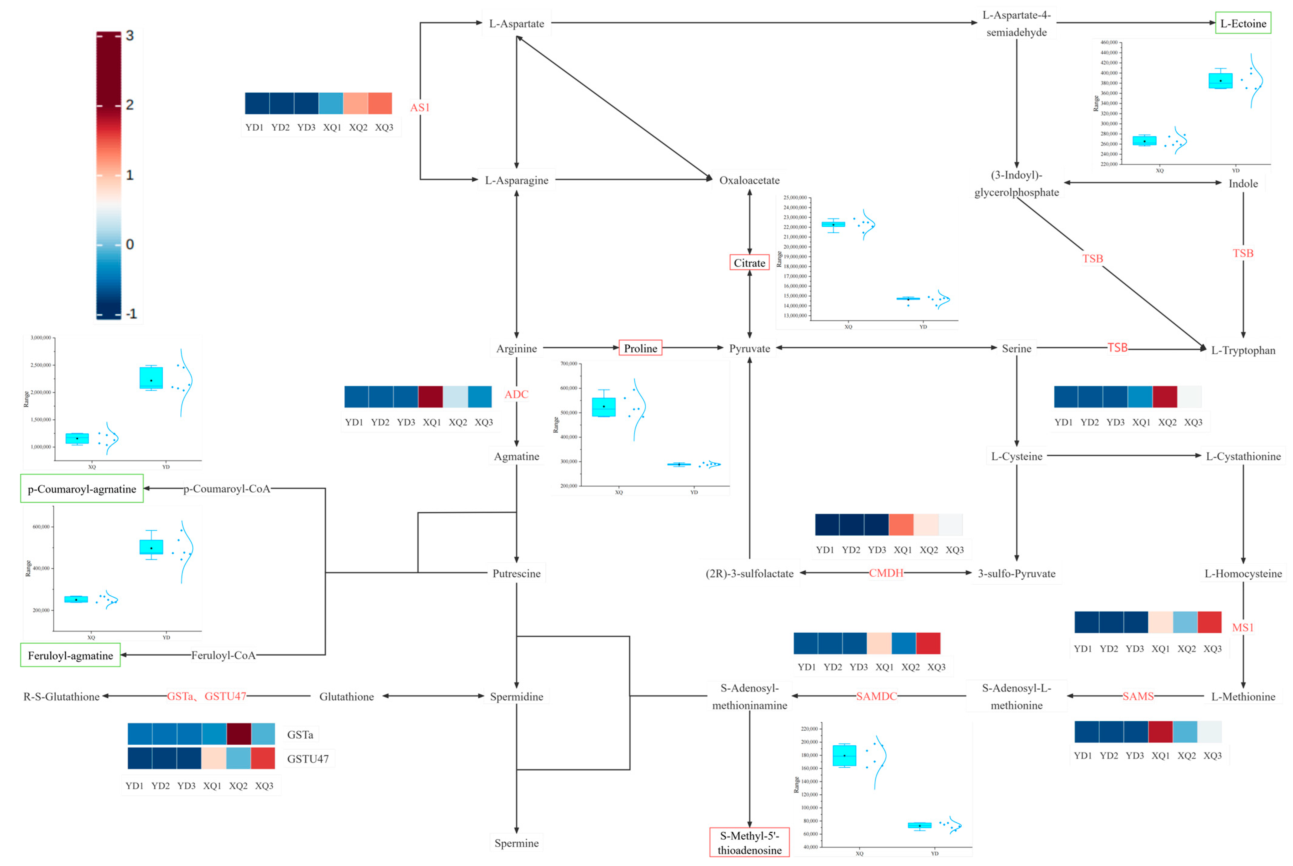 Metabolites 15 00172 g007