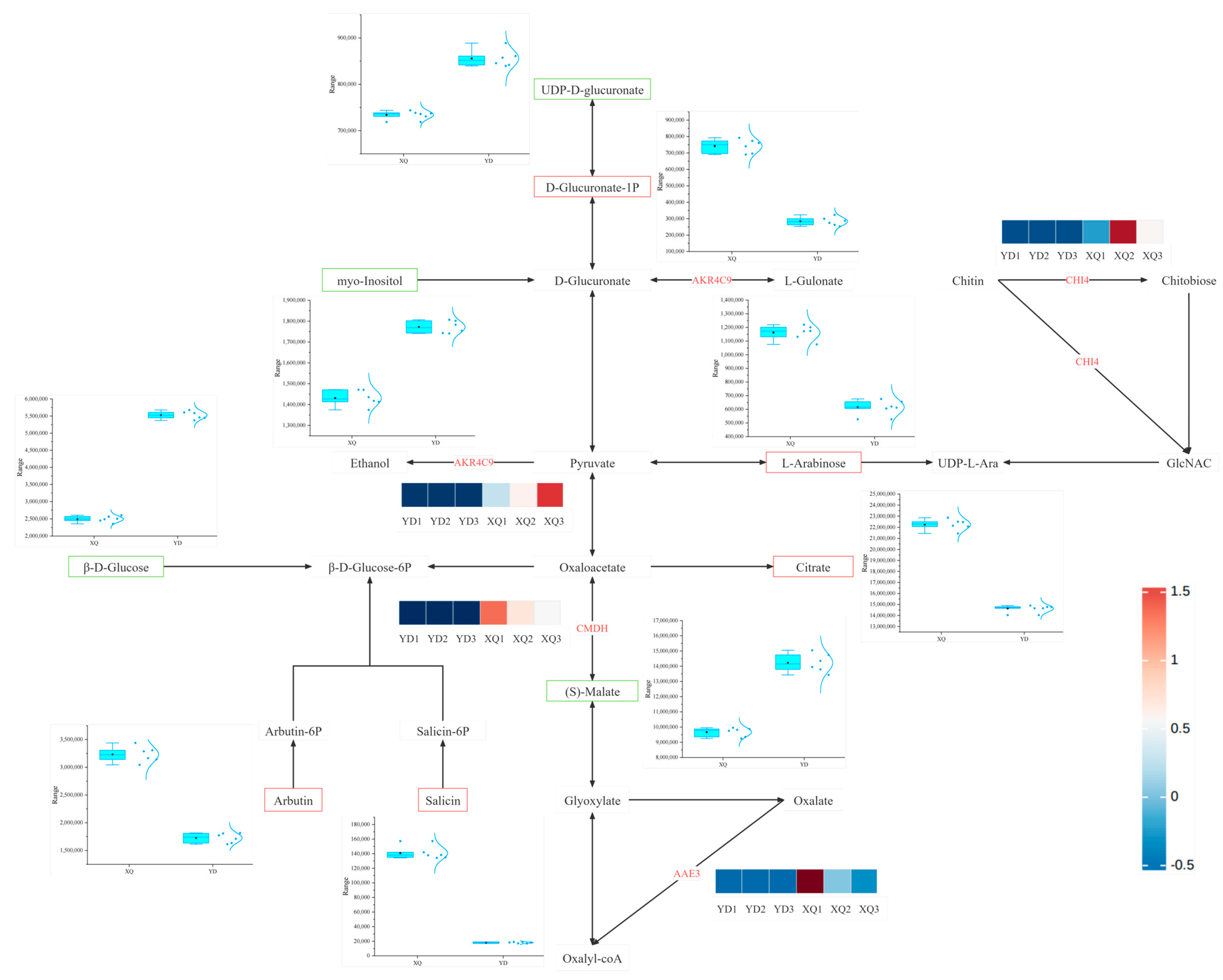 Metabolites 15 00172 g008