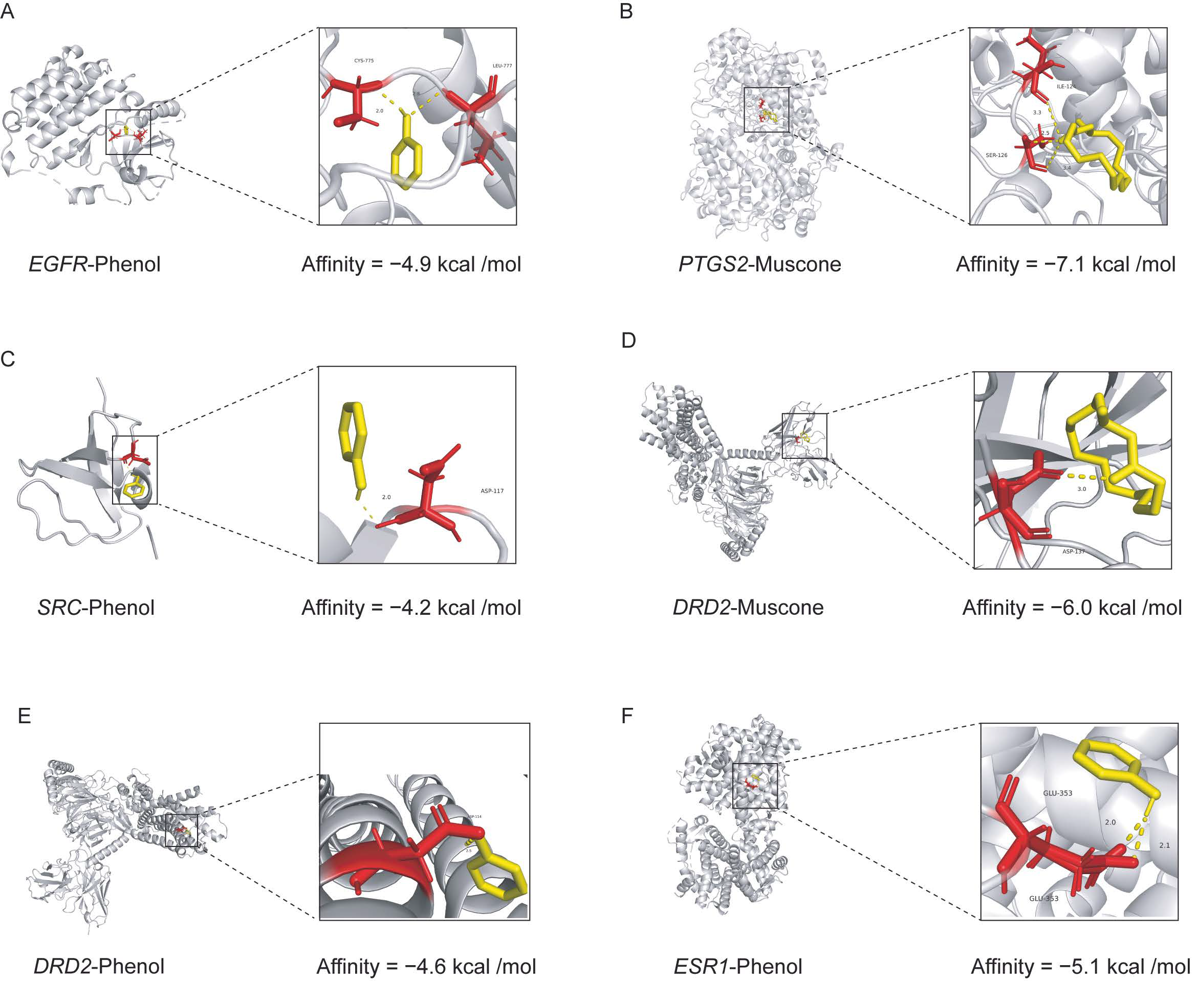 Metabolites 15 00181 g006