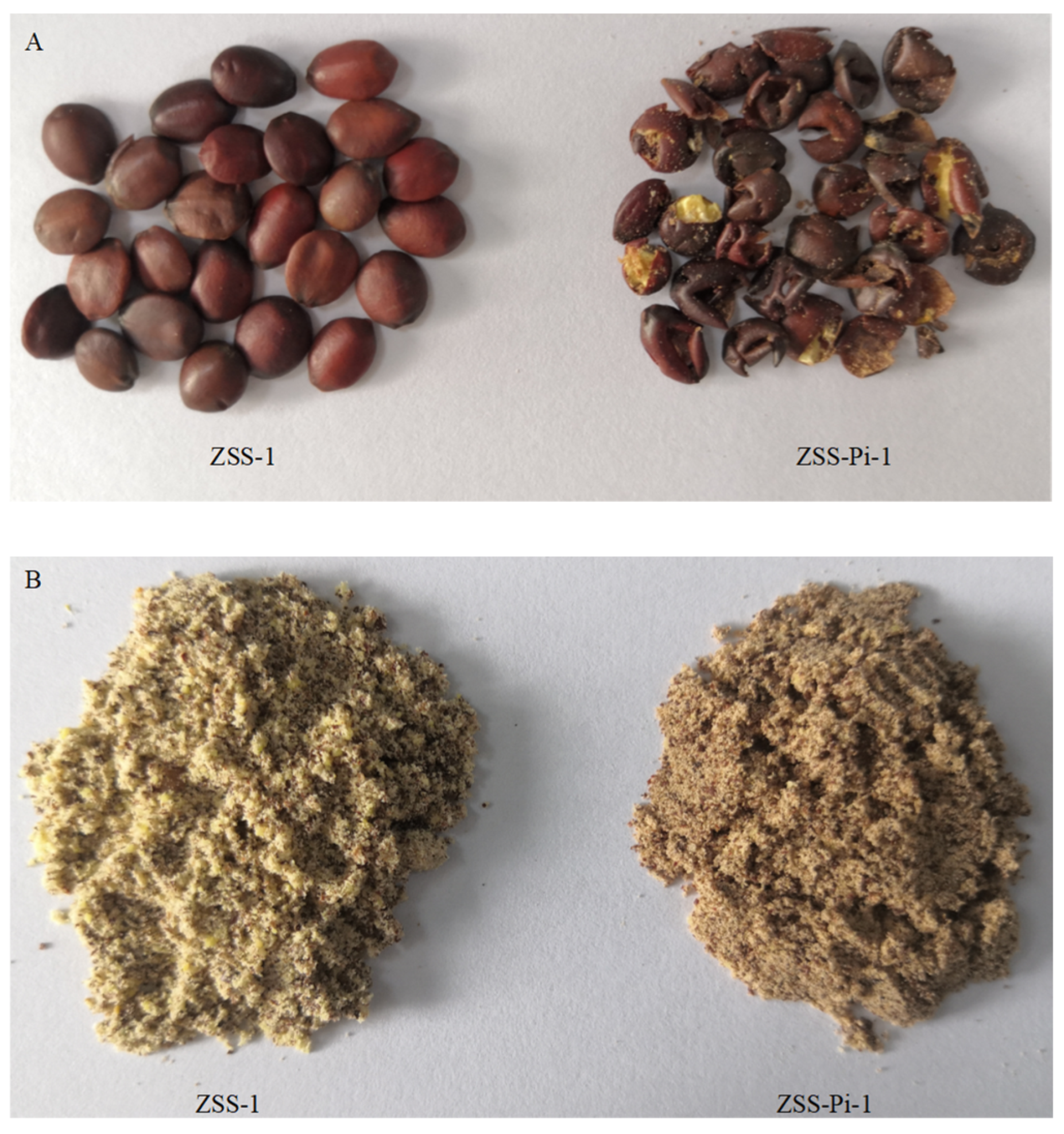 Metabolites 15 00188 g001