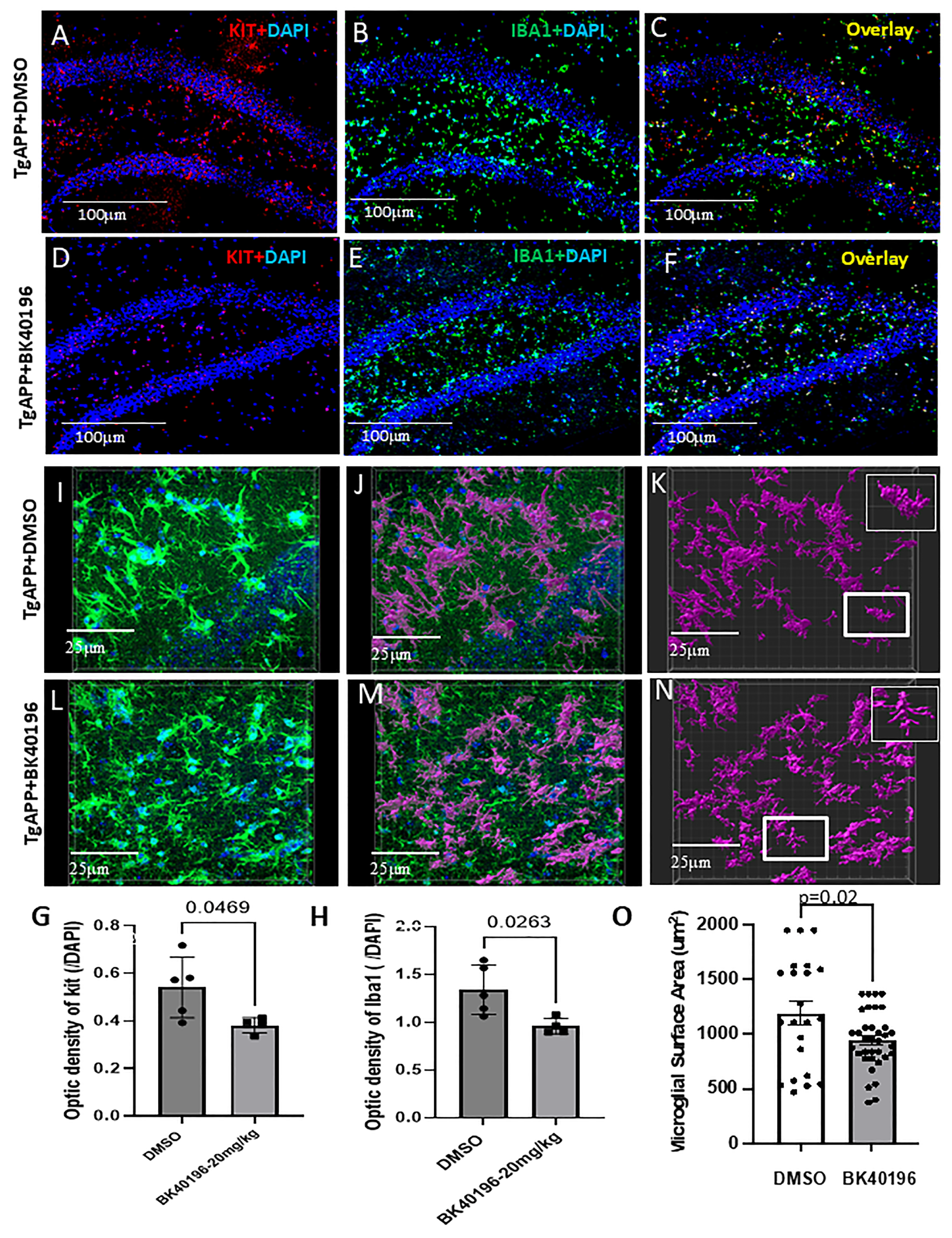Metabolites 15 00194 g006