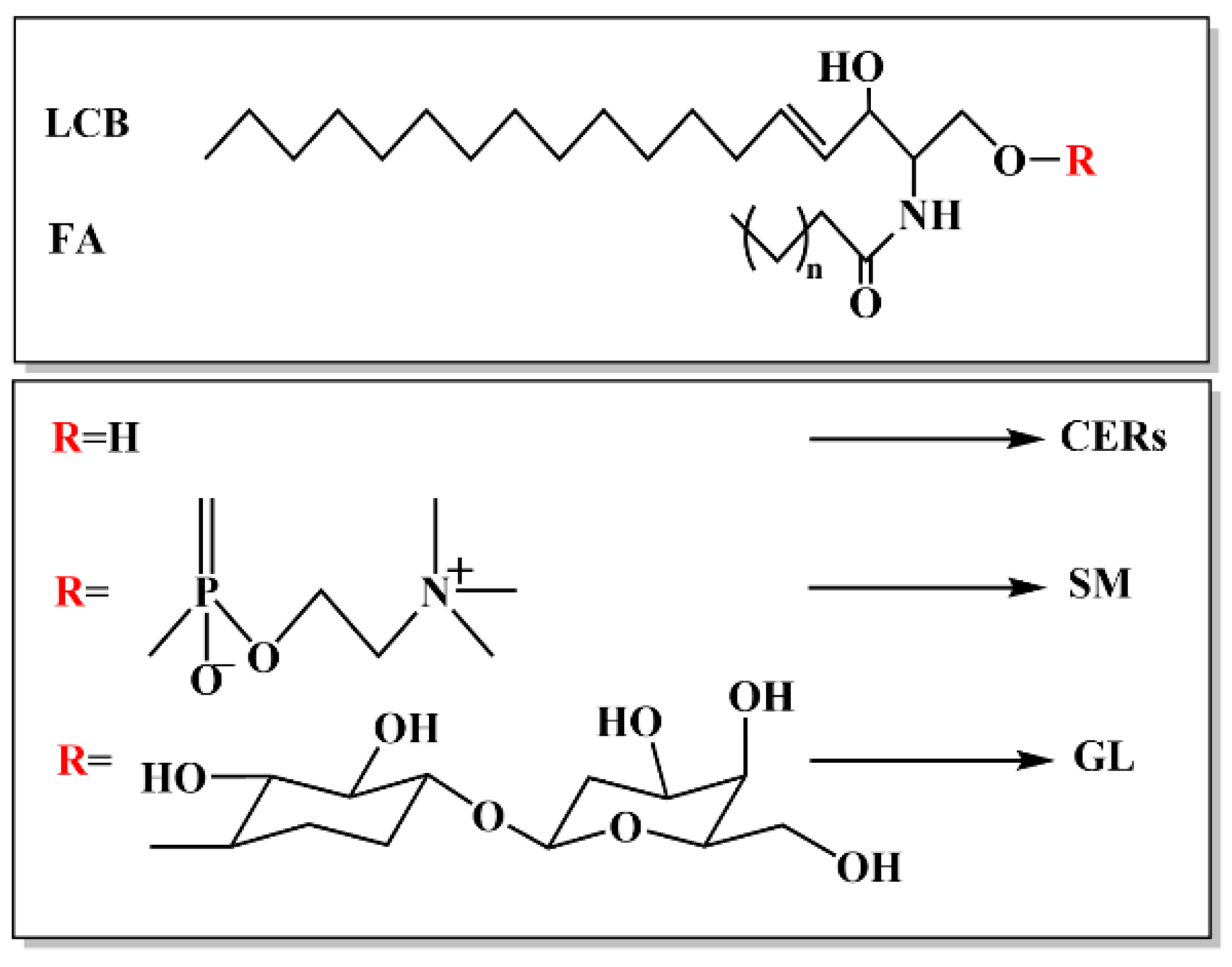 Metabolites 15 00195 g001 Metabolites 15 00195 g001