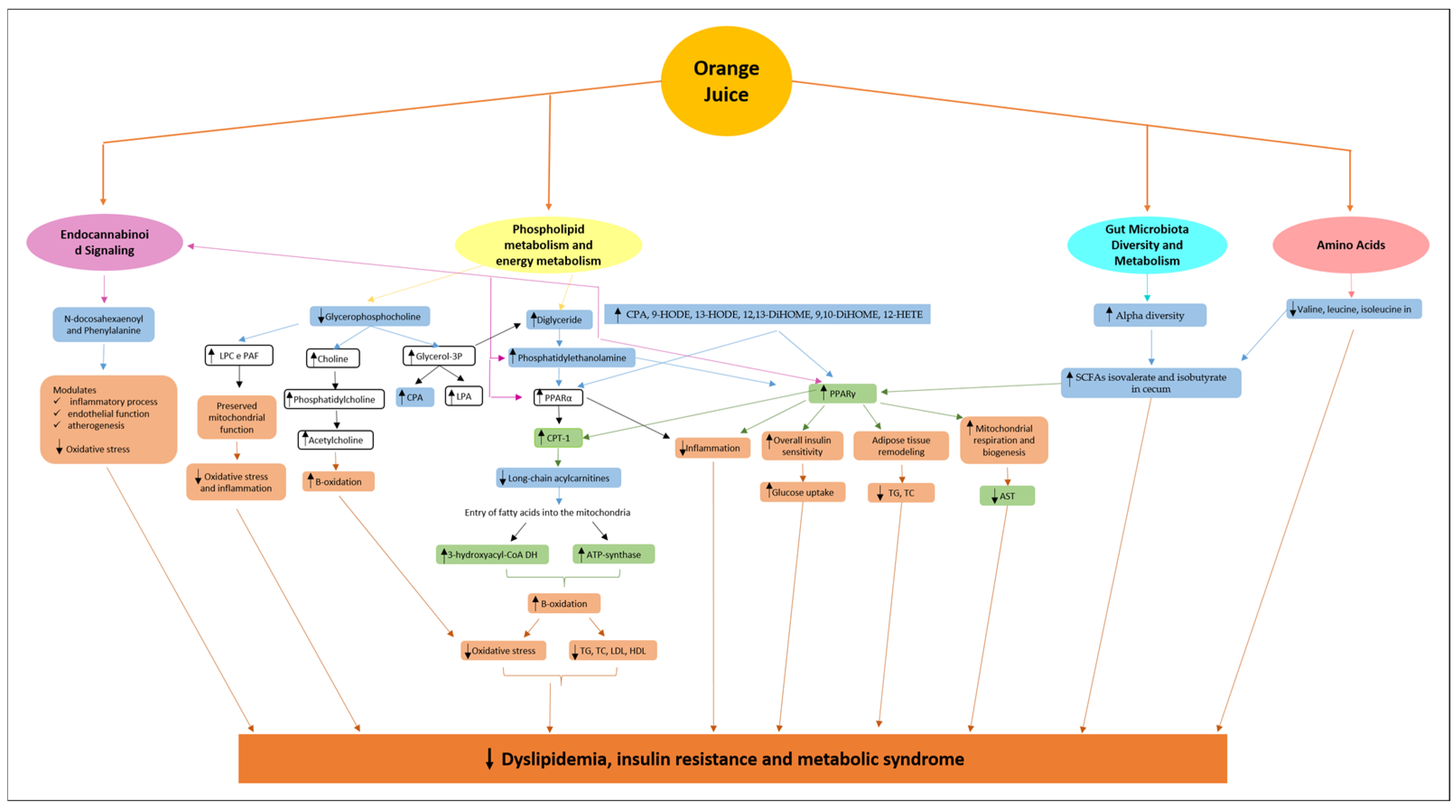 Metabolites 15 00198 g001