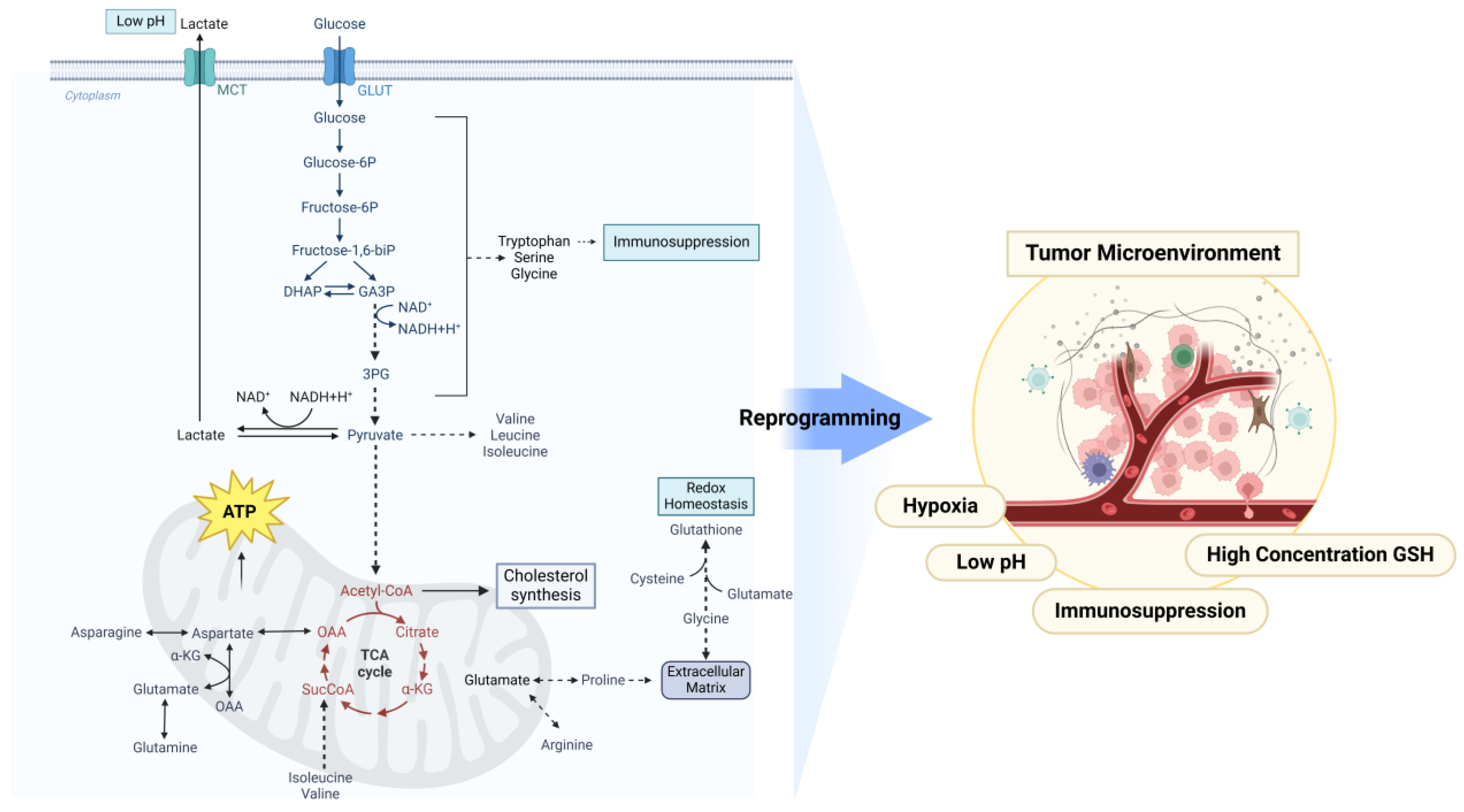 Metabolites 15 00201 g001
