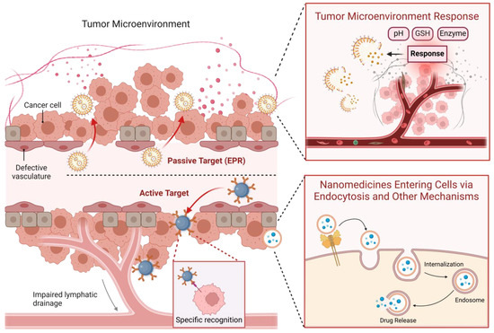 Nanomedicines Targeting Metabolic Pathways in the Tumor Nanomedicines Targeting Metabolic Pathways in the Tumor