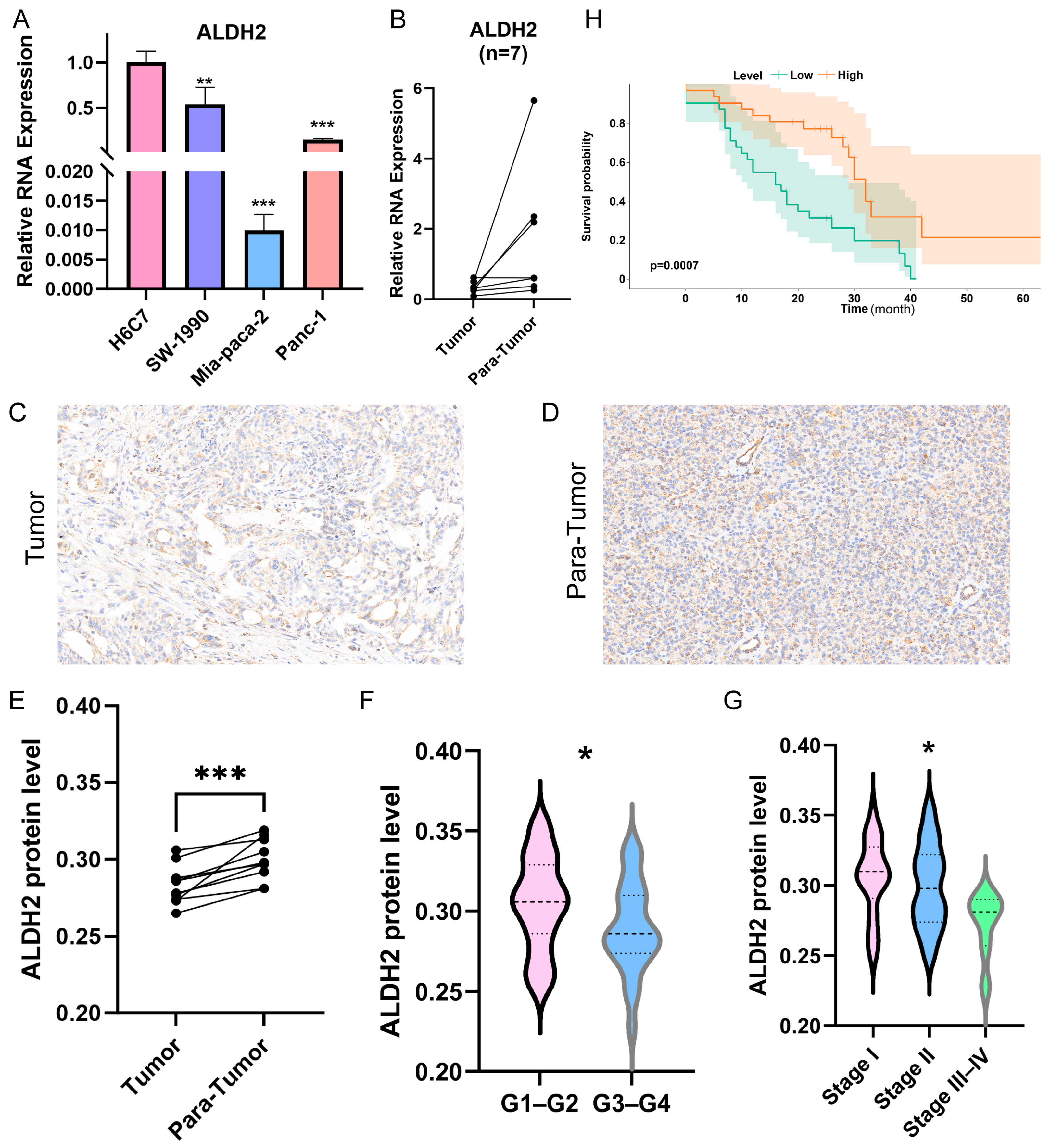 Metabolites 15 00207 g007