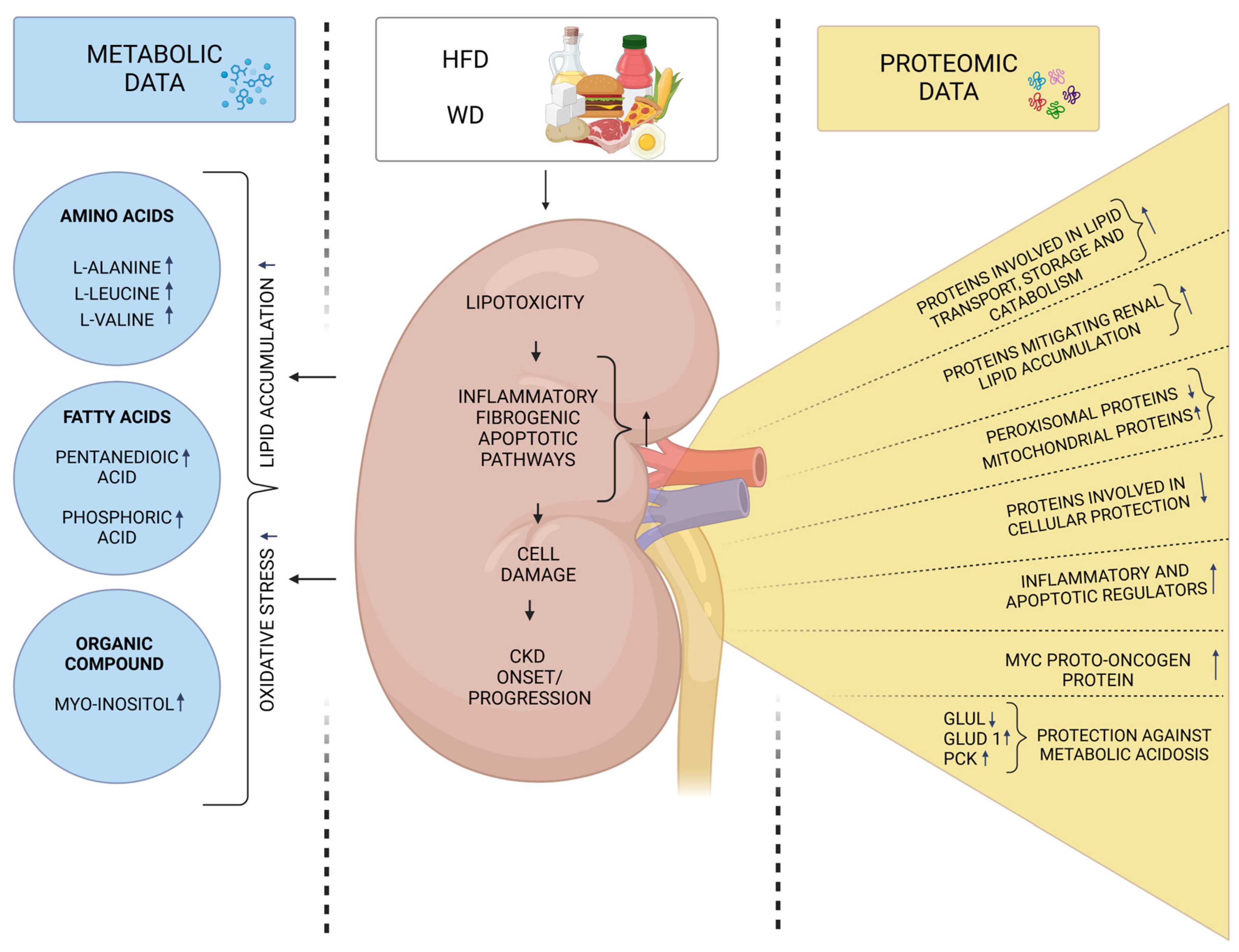 Metabolites 15 00211 g002