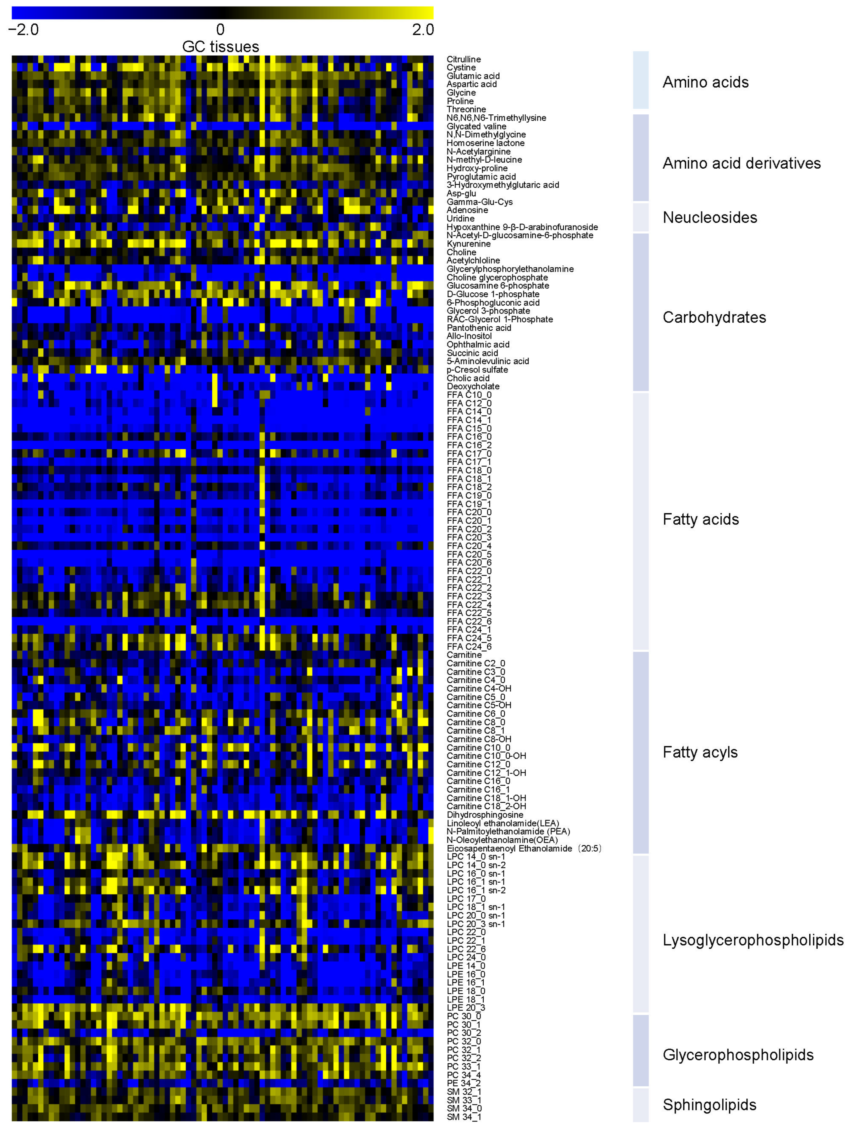 Metabolites 15 00222 g002