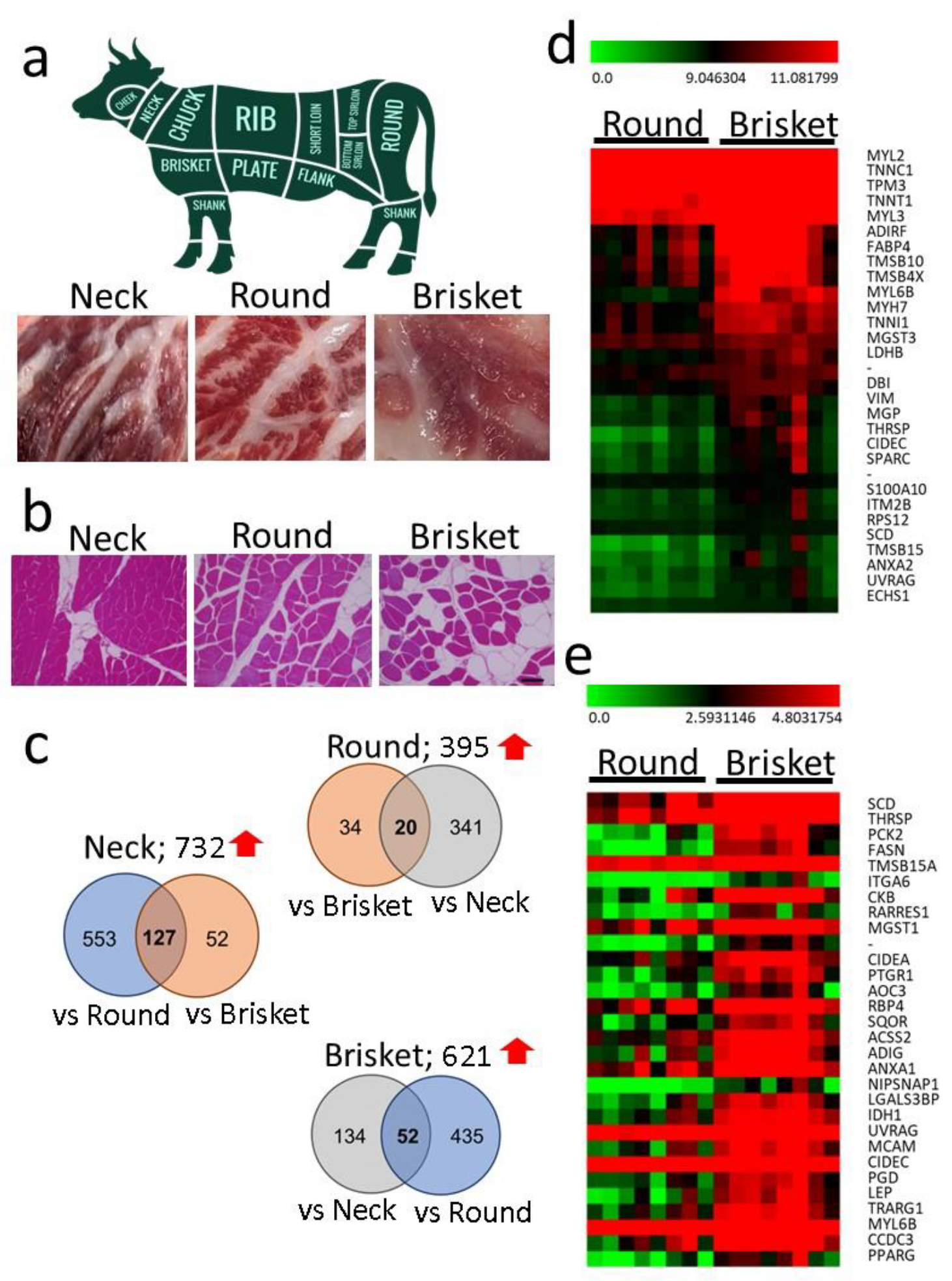 Metabolites 15 00231 g001