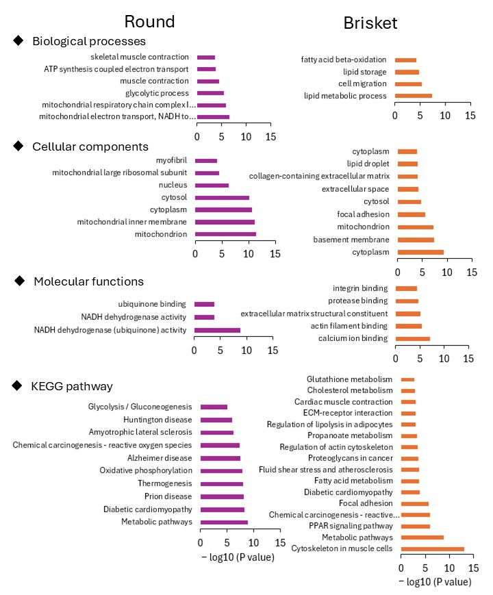 Metabolites 15 00231 g002