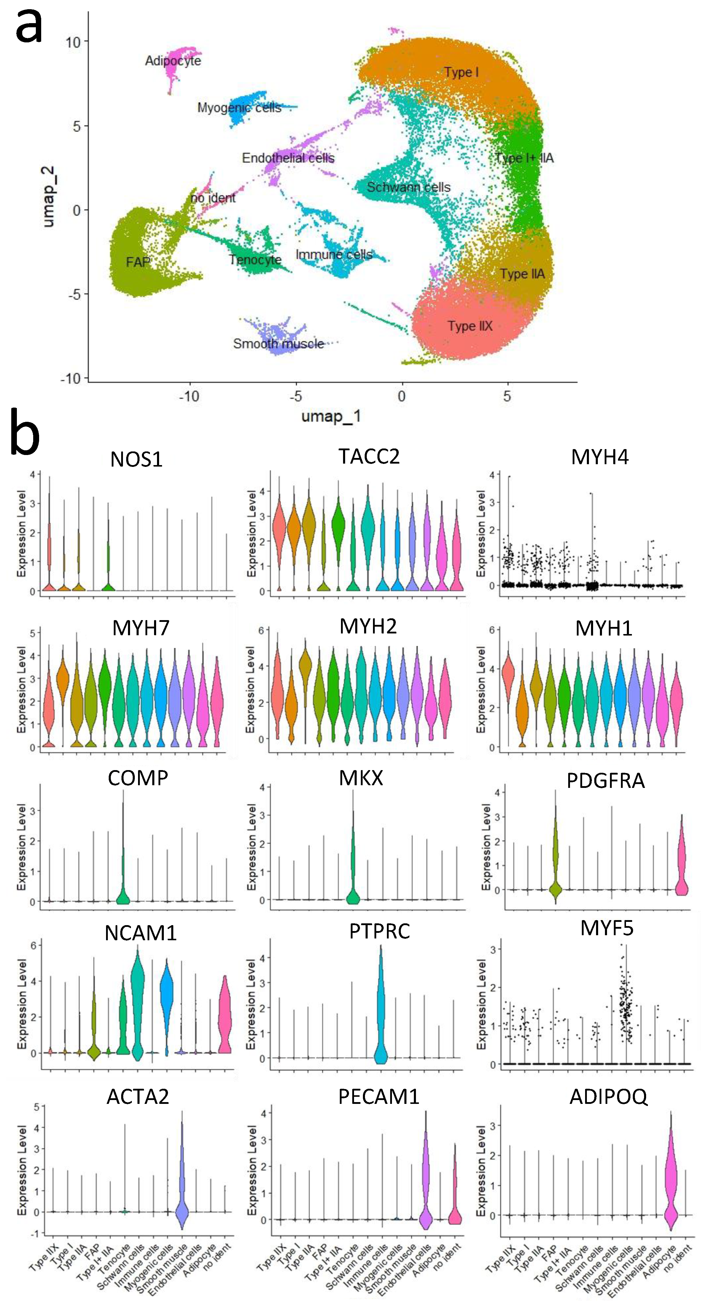Metabolites 15 00231 g004