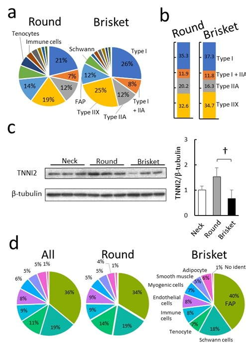 Metabolites 15 00231 g005