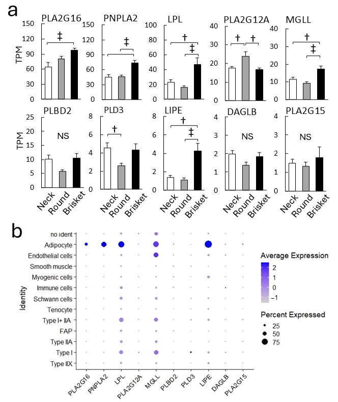 Metabolites 15 00231 g006