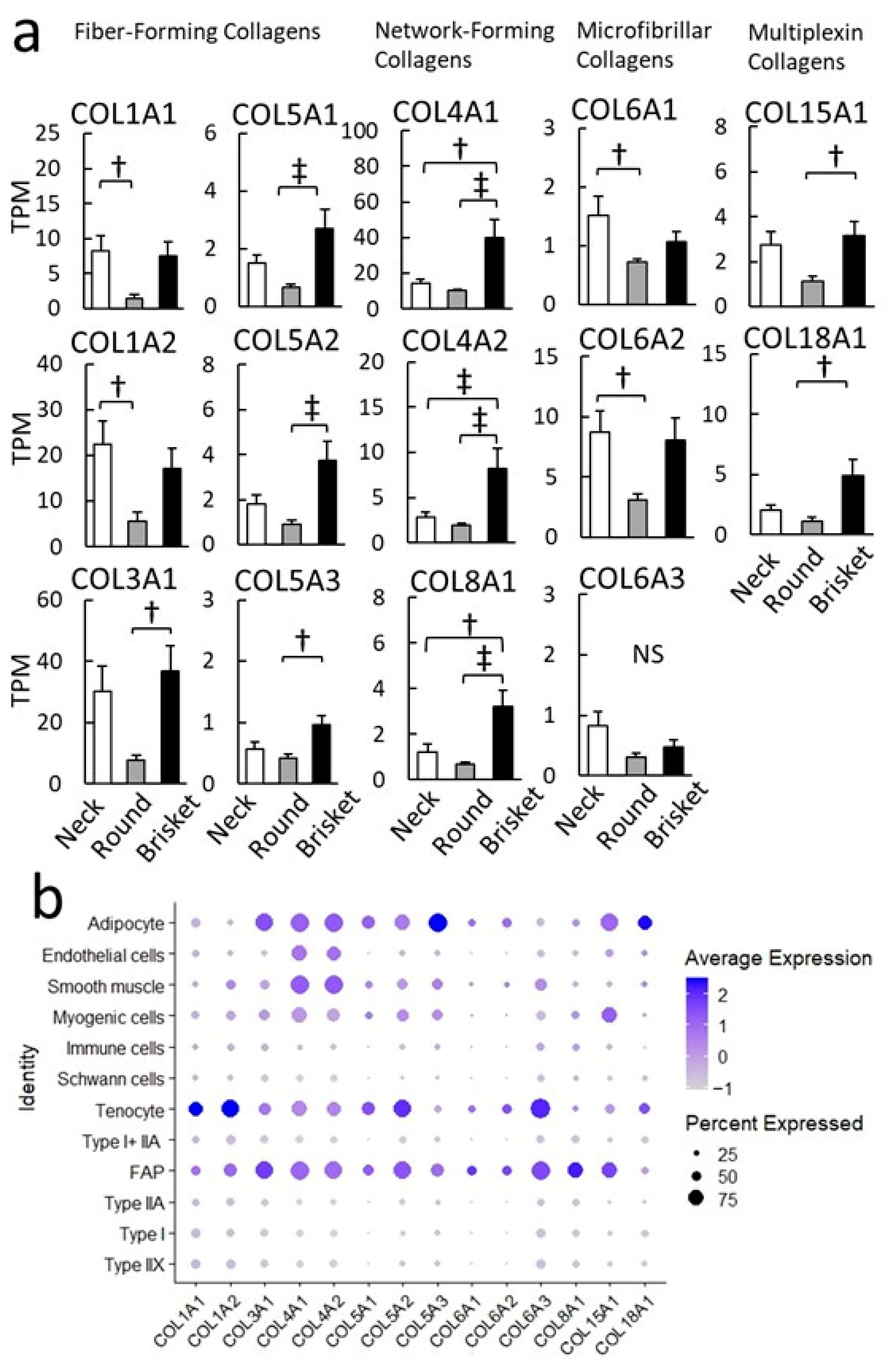 Metabolites 15 00231 g007