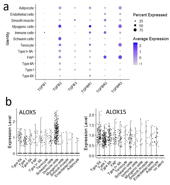 Metabolites 15 00231 g008
