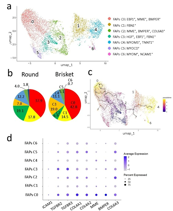 Metabolites 15 00231 g009