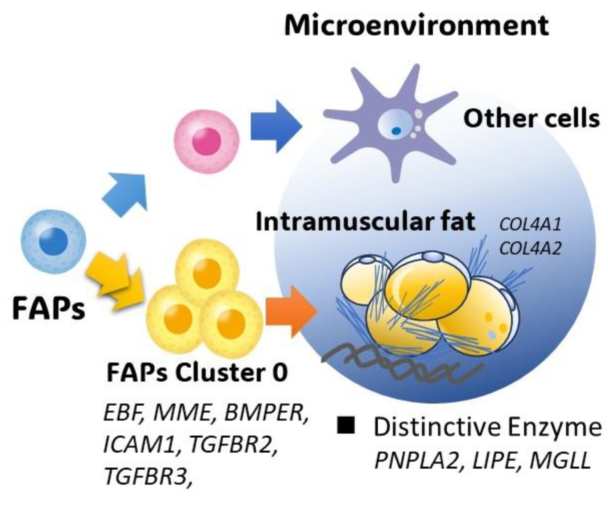 Metabolites 15 00231 g010