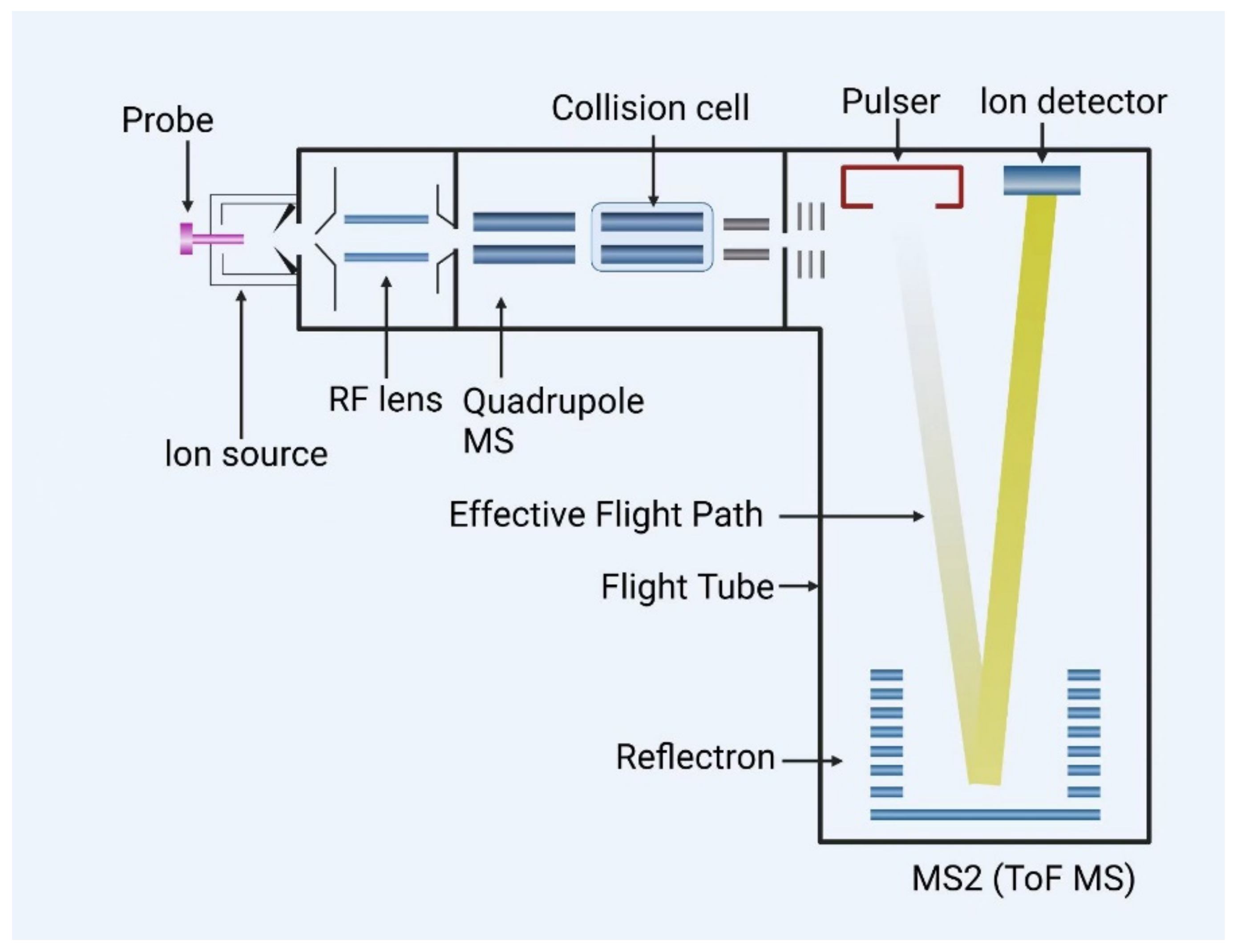 Metabolites 15 00233 g001
