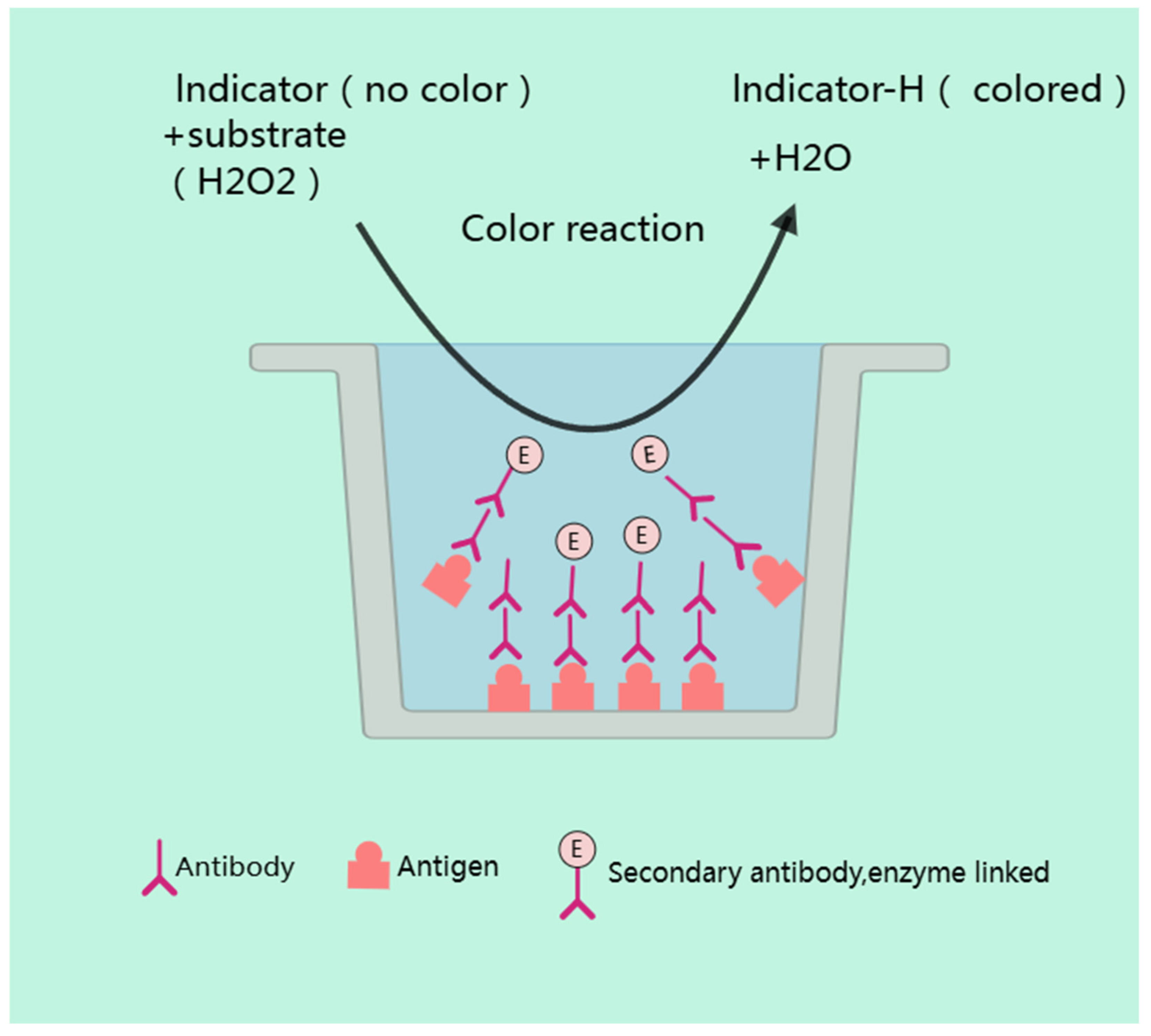 Metabolites 15 00233 g002