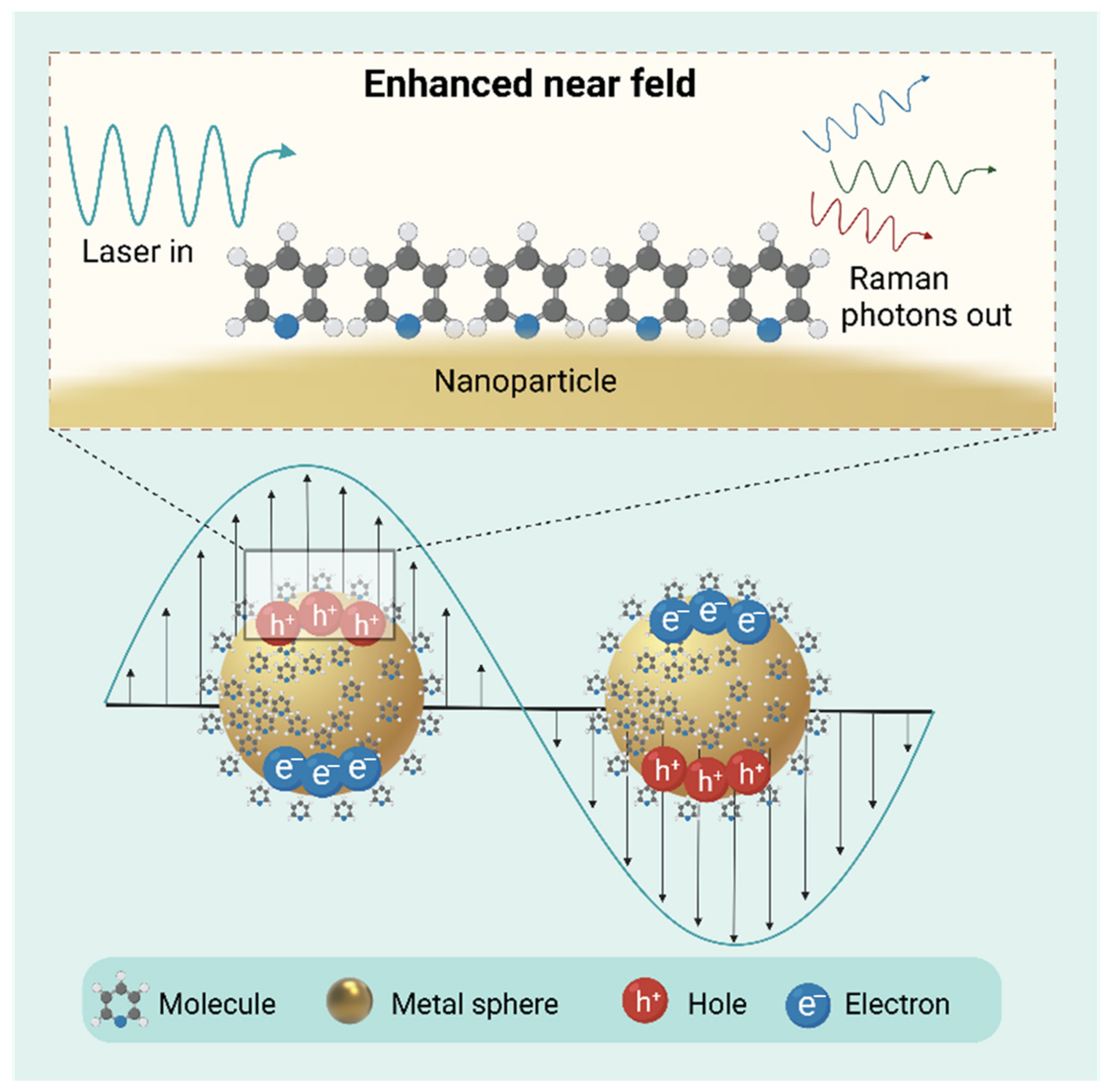 Metabolites 15 00233 g004