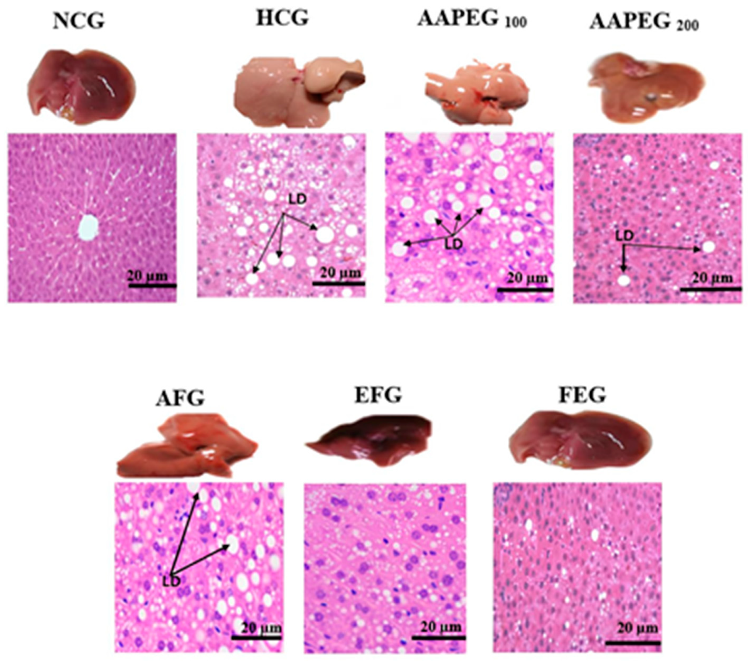 Metabolites 15 00234 g006 Metabolites 15 00234 g006