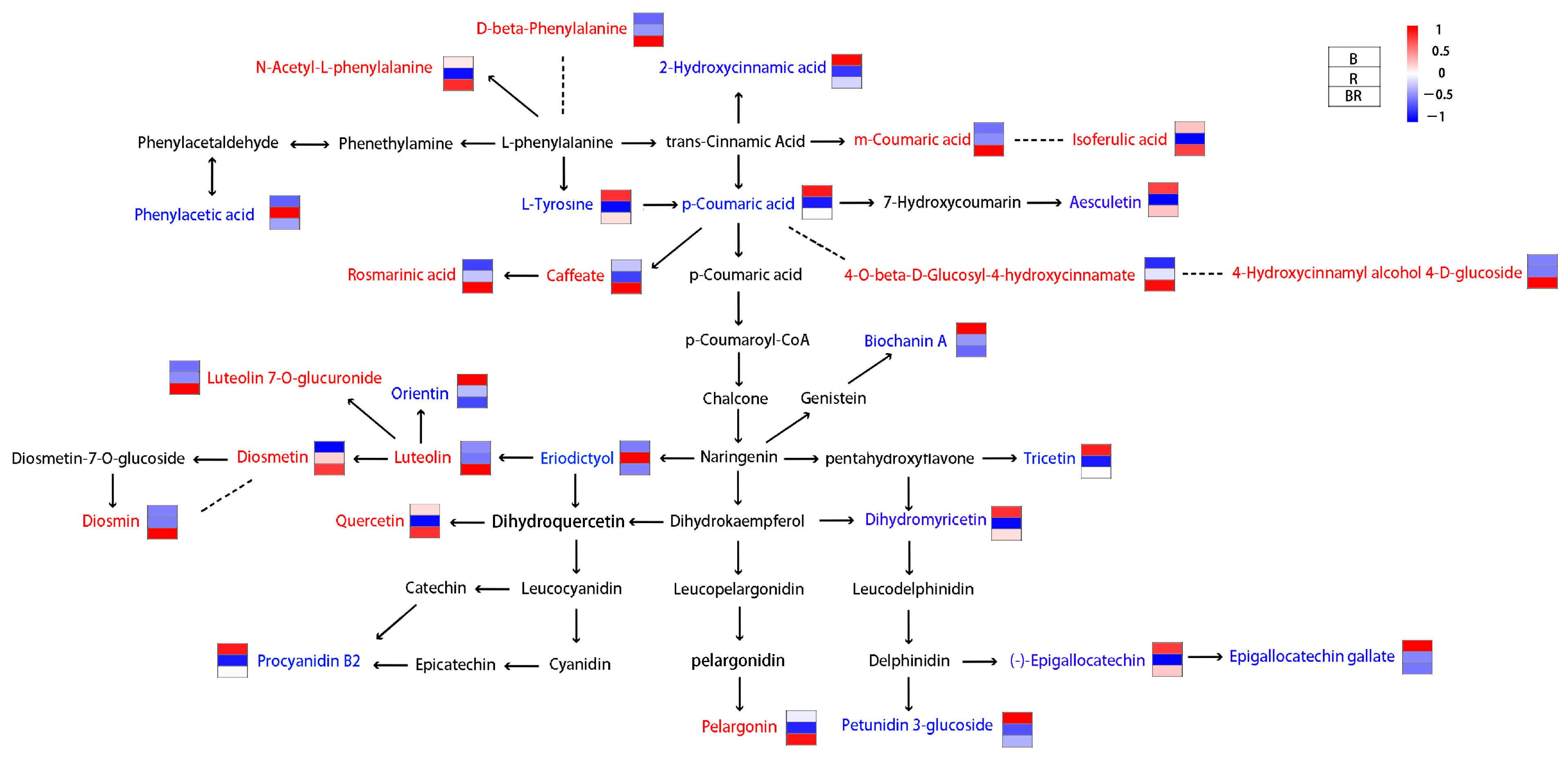 Metabolites 15 00265 g005