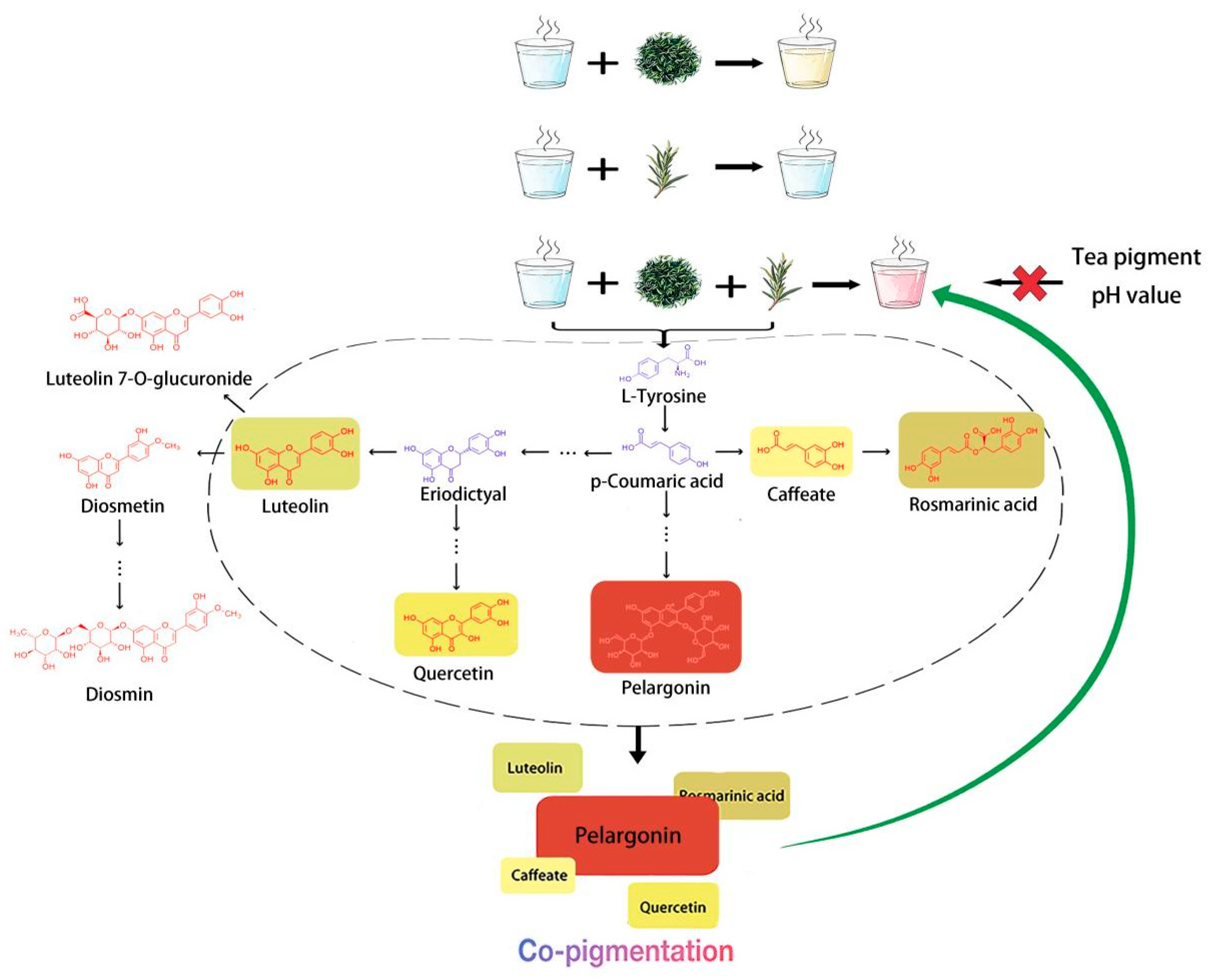 Metabolites 15 00265 g006