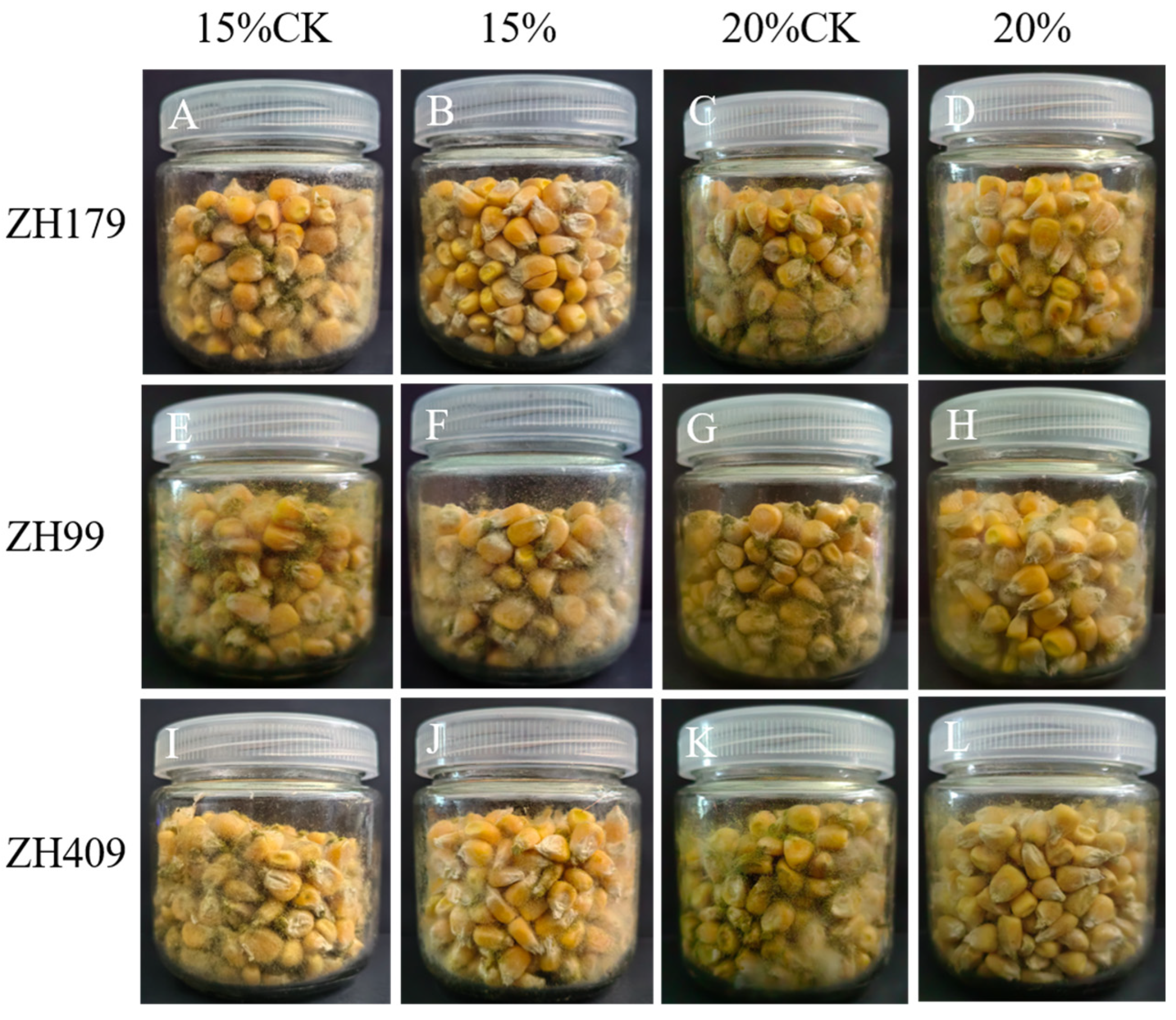 JAMS Study on the Inhibitory Effects of Three Endophytic Bacillus