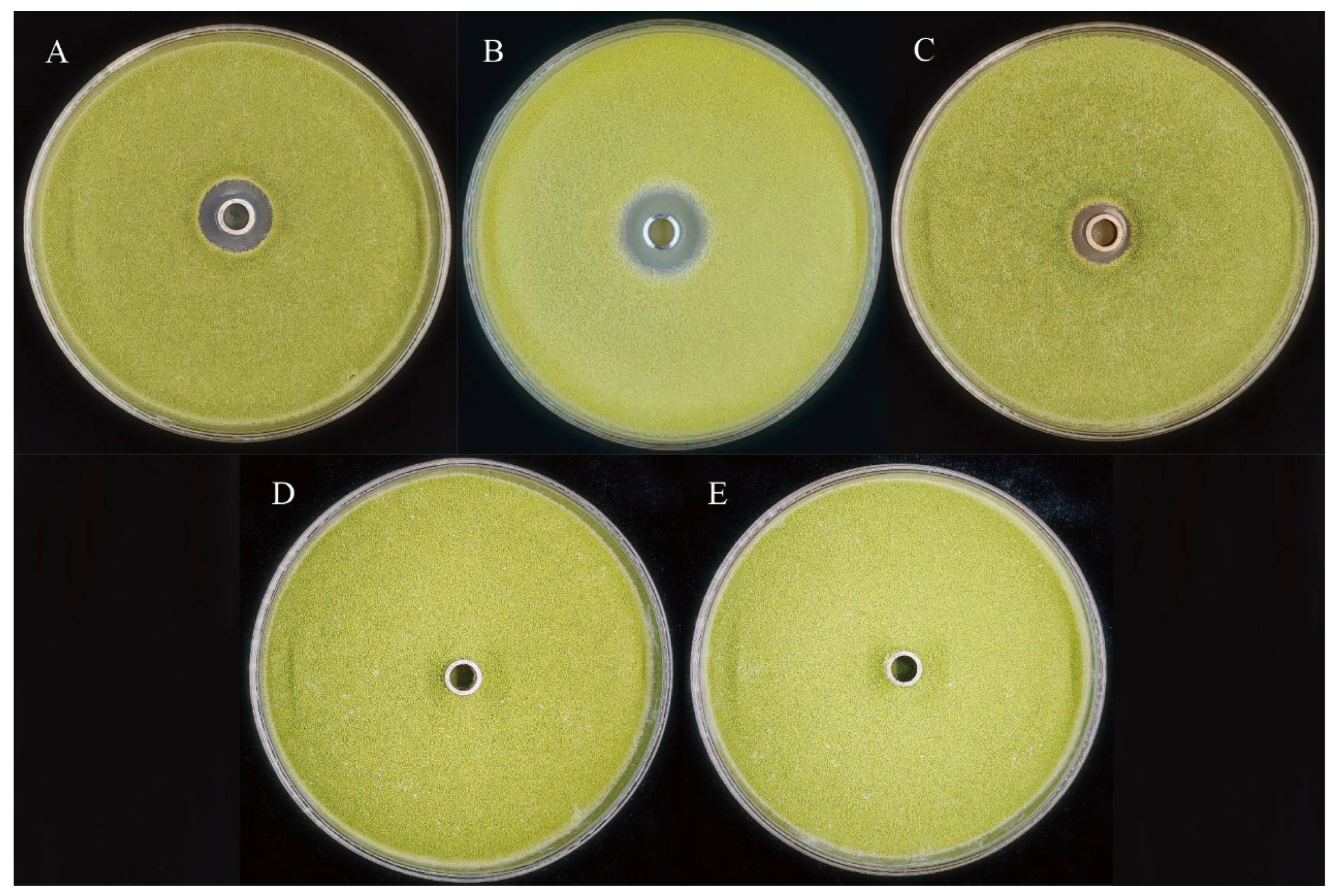 Metabolites 15 00268 g004
