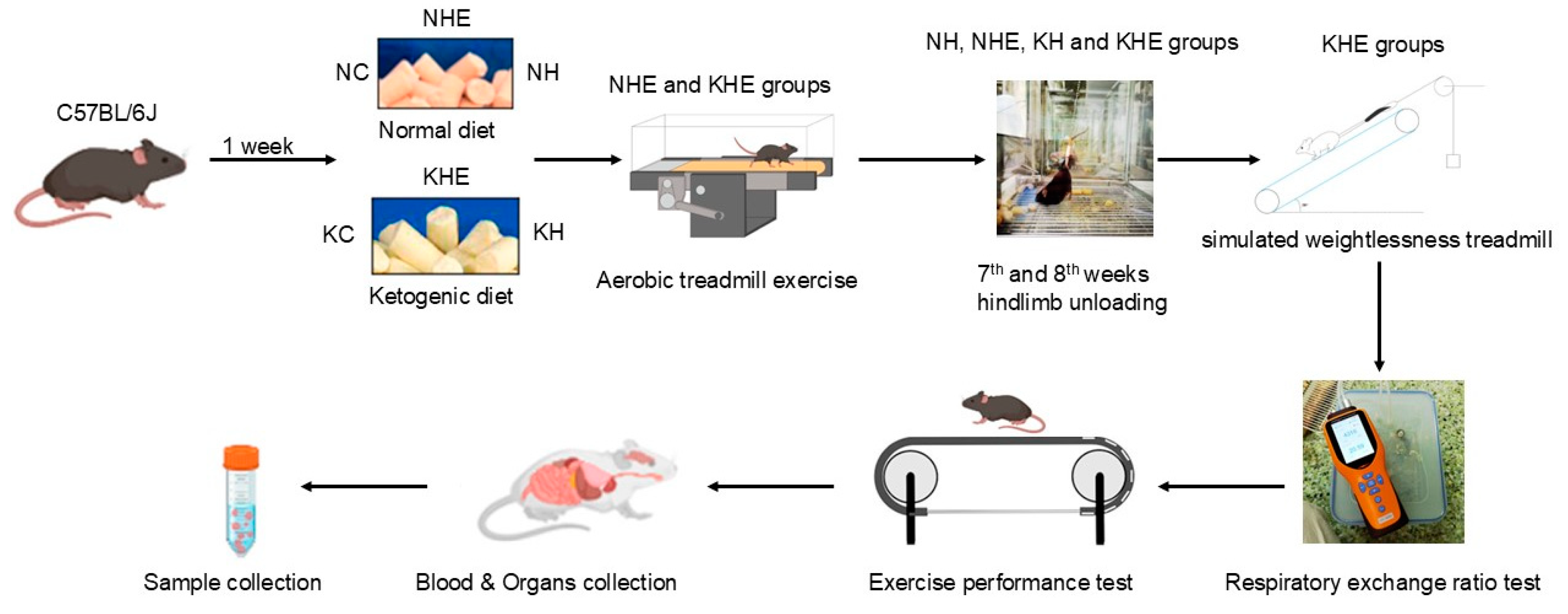 Metabolites 15 00270 g001